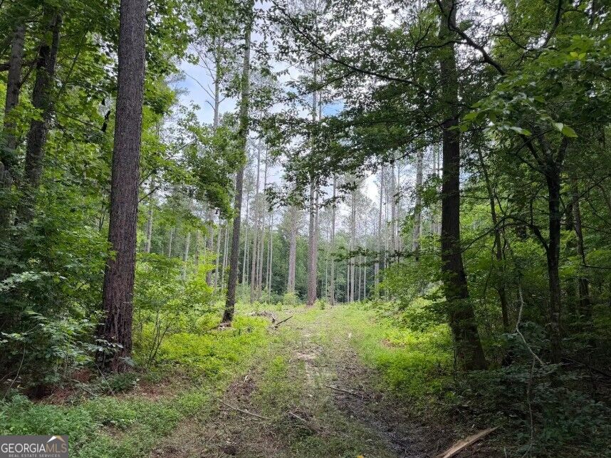 0 Mt. Sinai Lot 9 Property Photo 58
