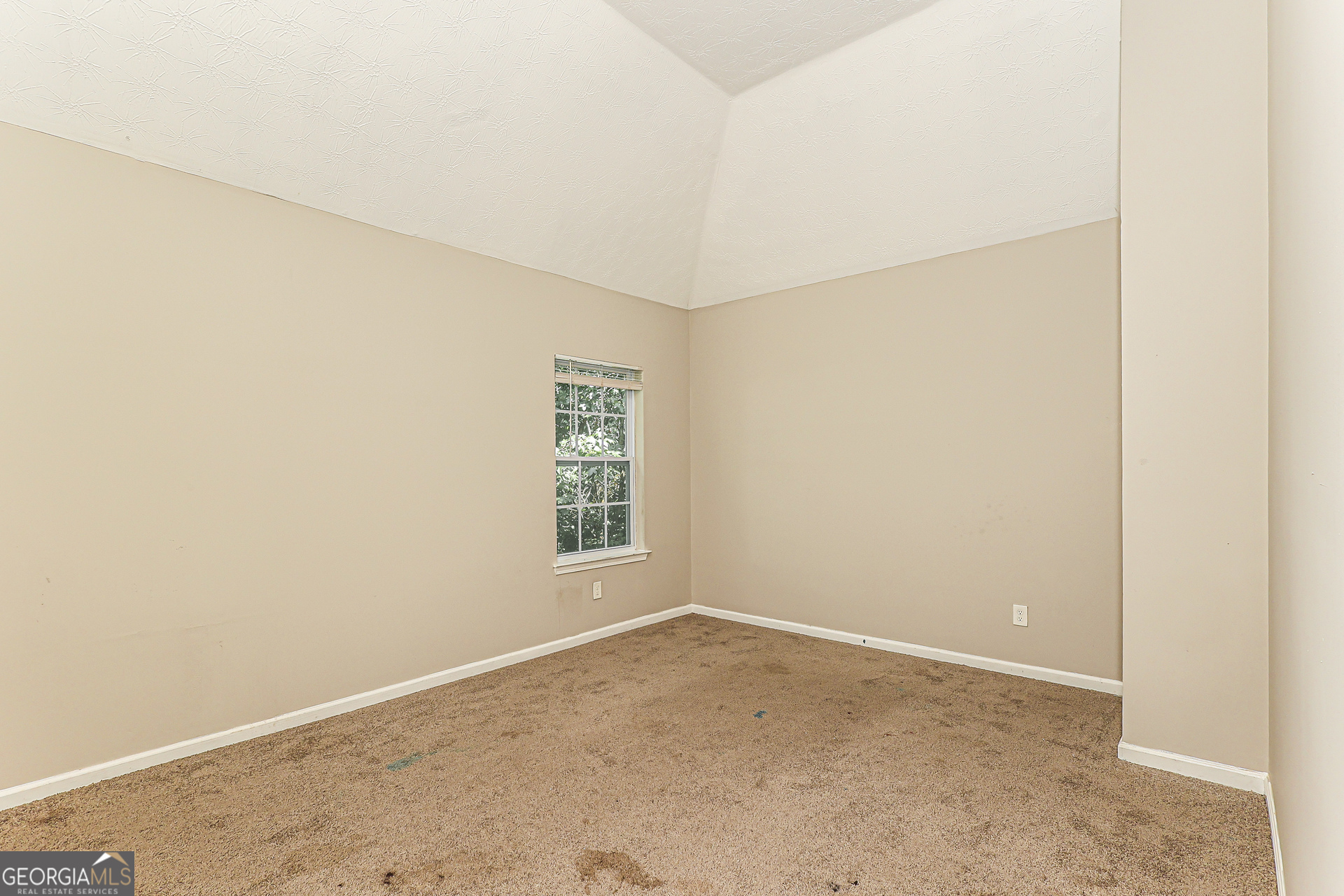 6898 Smoke Ridge Drive Property Photo 13
