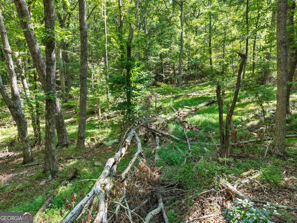 156 Mulberry Circle Property Photo 29