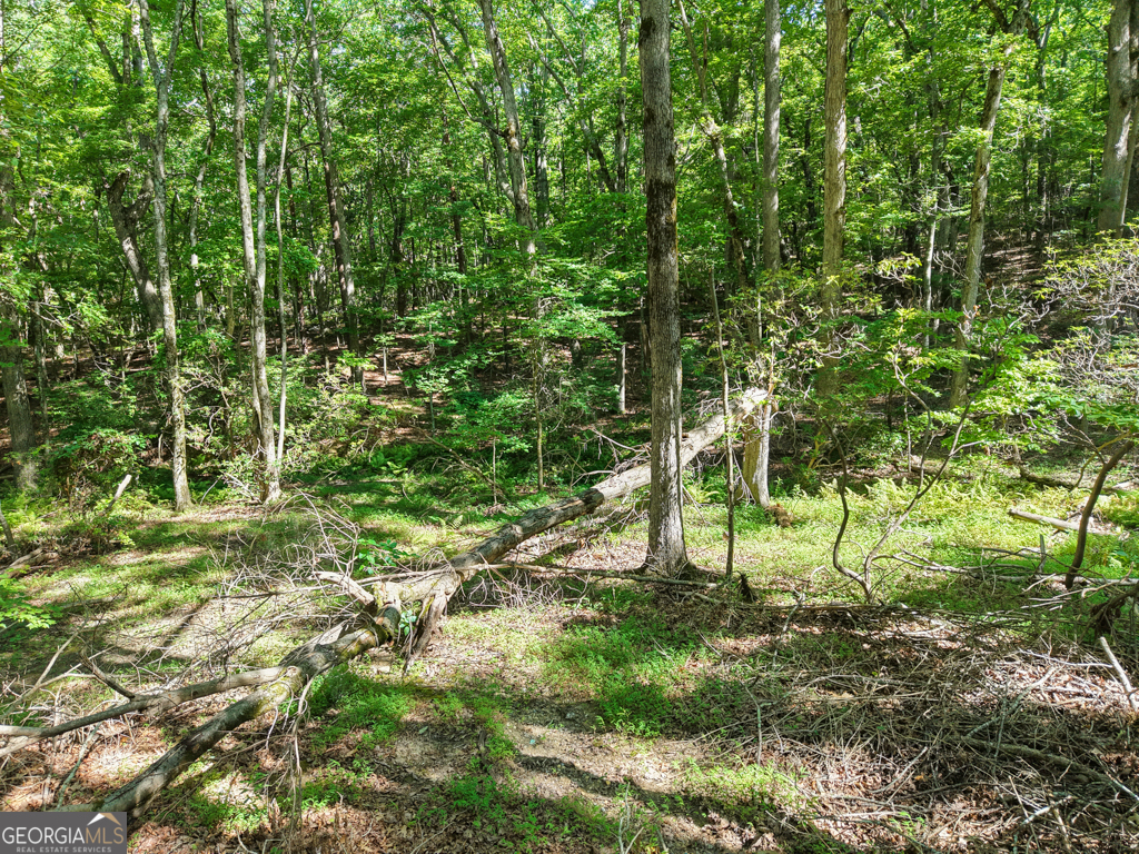 156 Mulberry Circle Property Photo 30