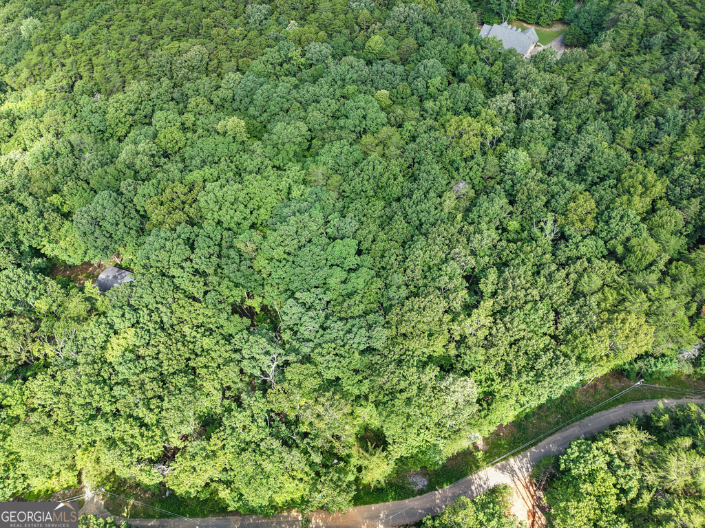 156 Mulberry Circle Property Photo 31