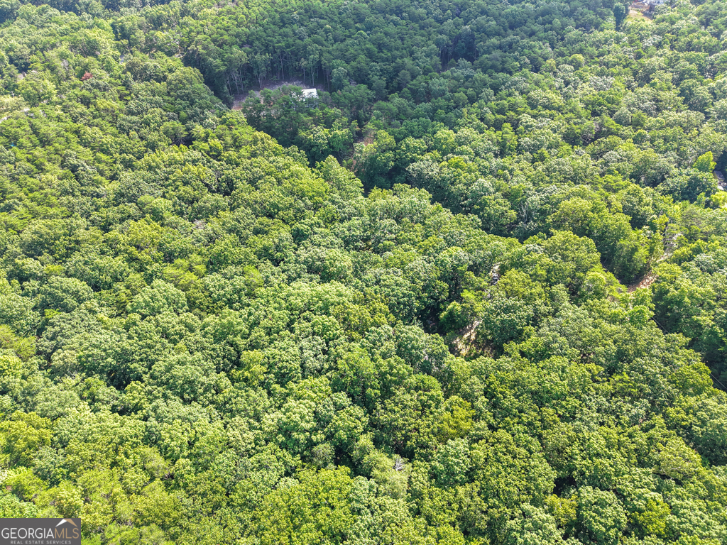 156 Mulberry Circle Property Photo 33