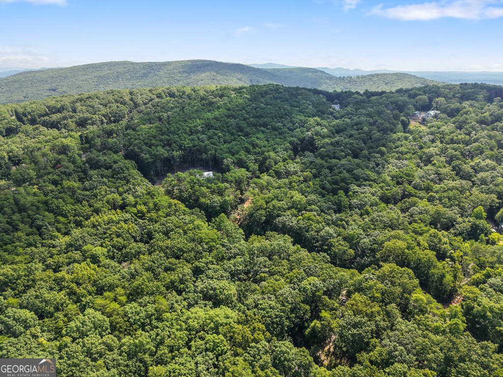 156 Mulberry Circle Property Photo 34