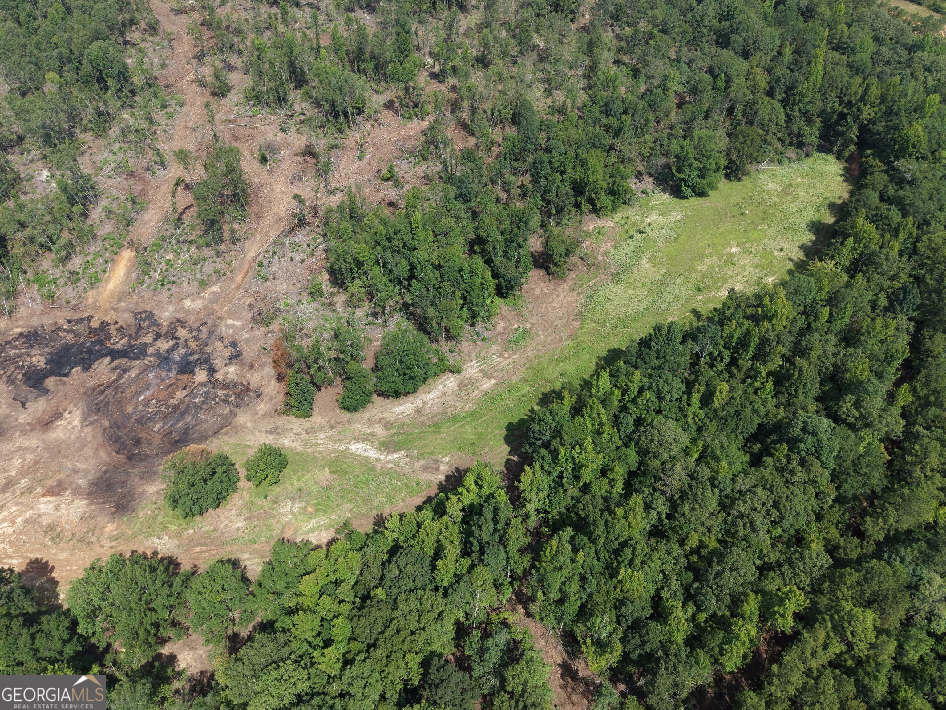 0 Highway 57 Property Photo 3