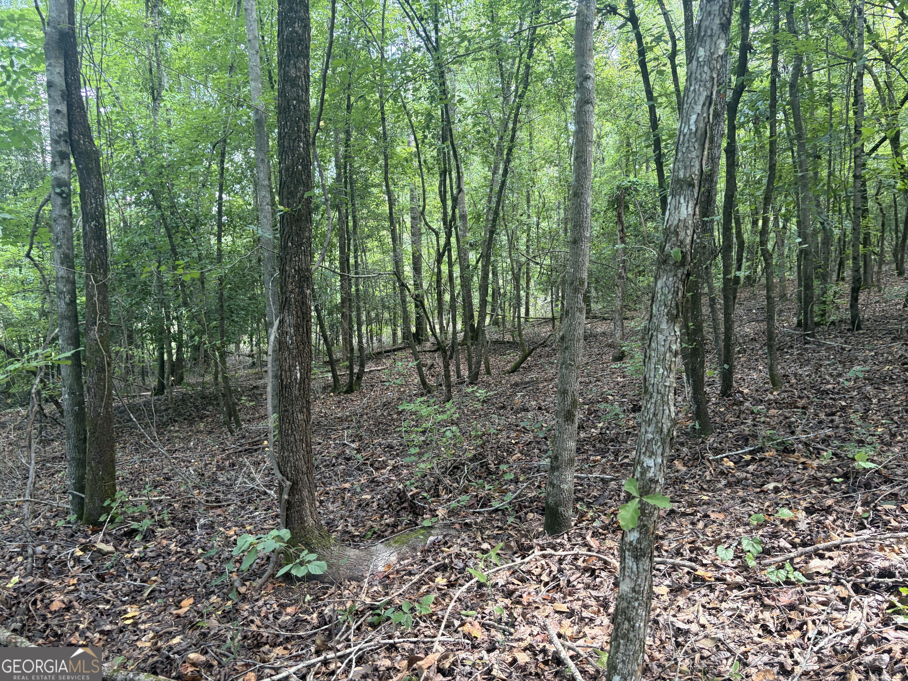 0 Highway 57 Property Photo 7