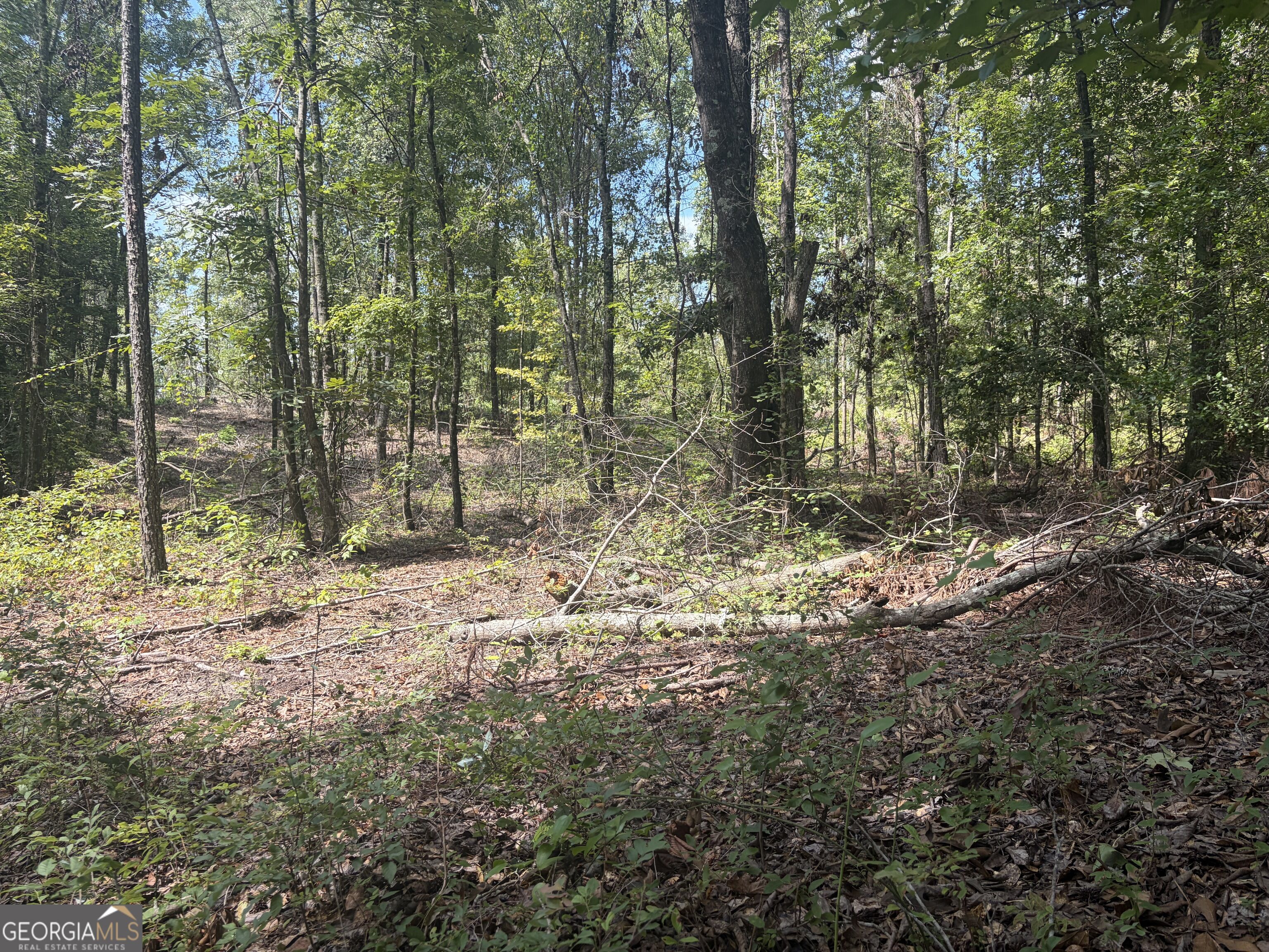 0 Highway 57 Property Photo 10