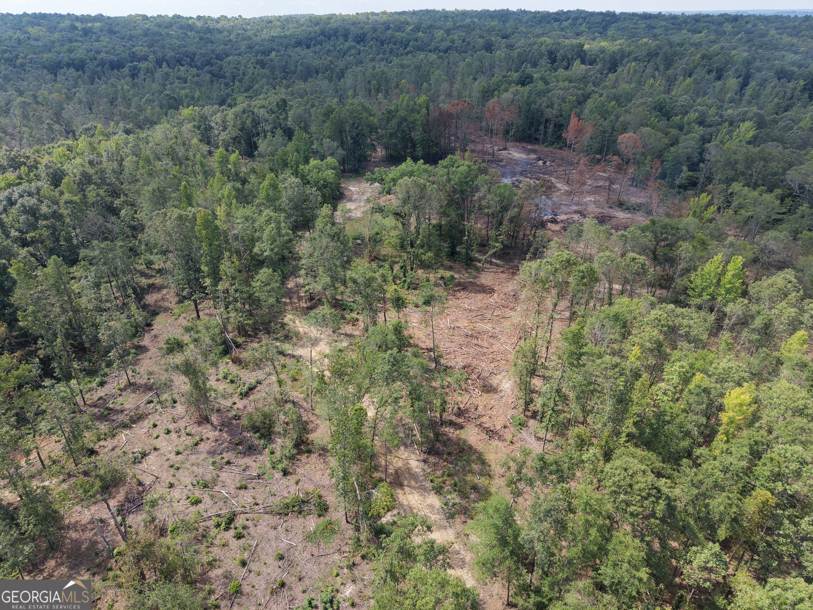 0 Highway 57 Property Photo 13