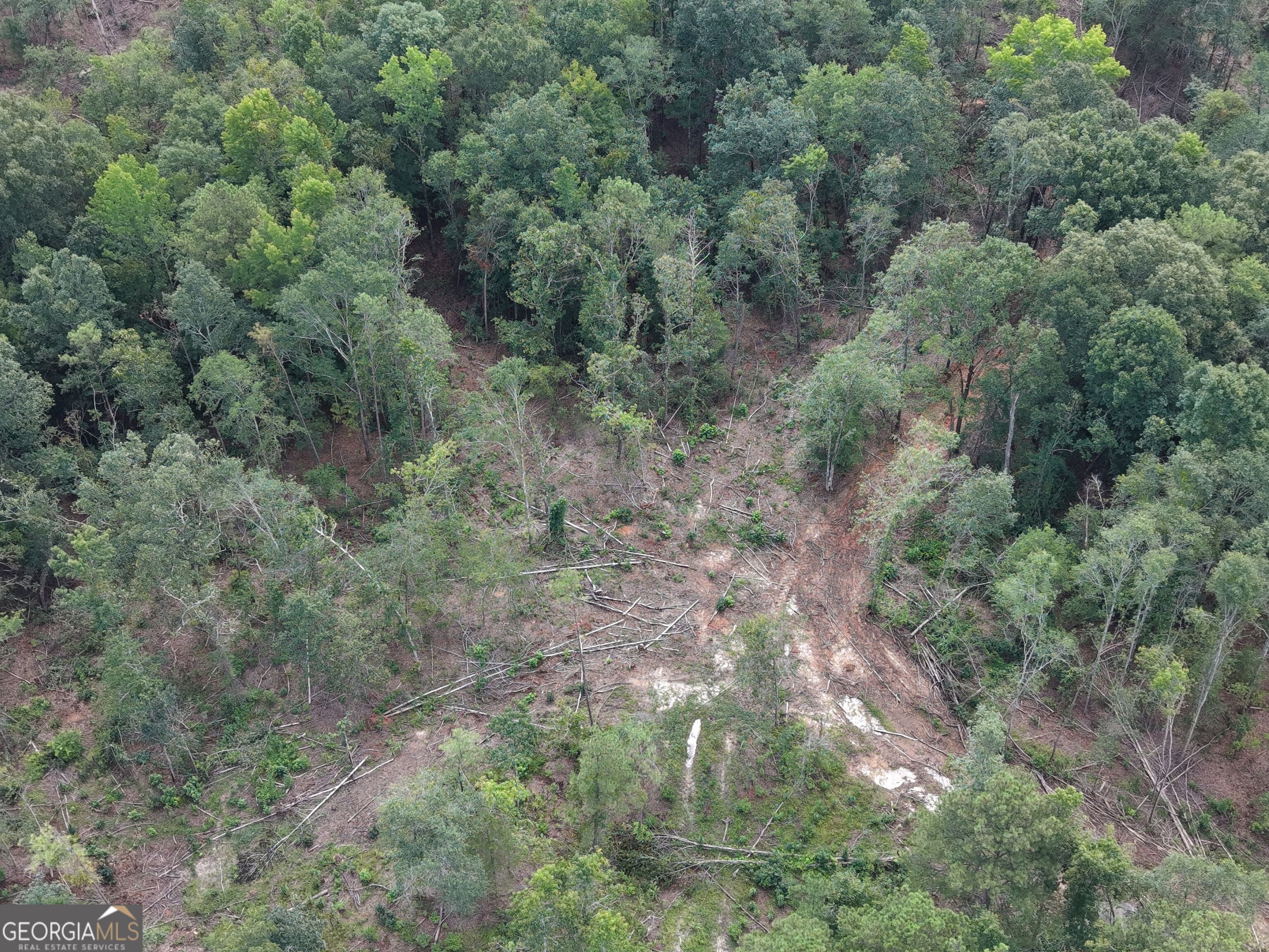 0 Highway 57 Property Photo 15