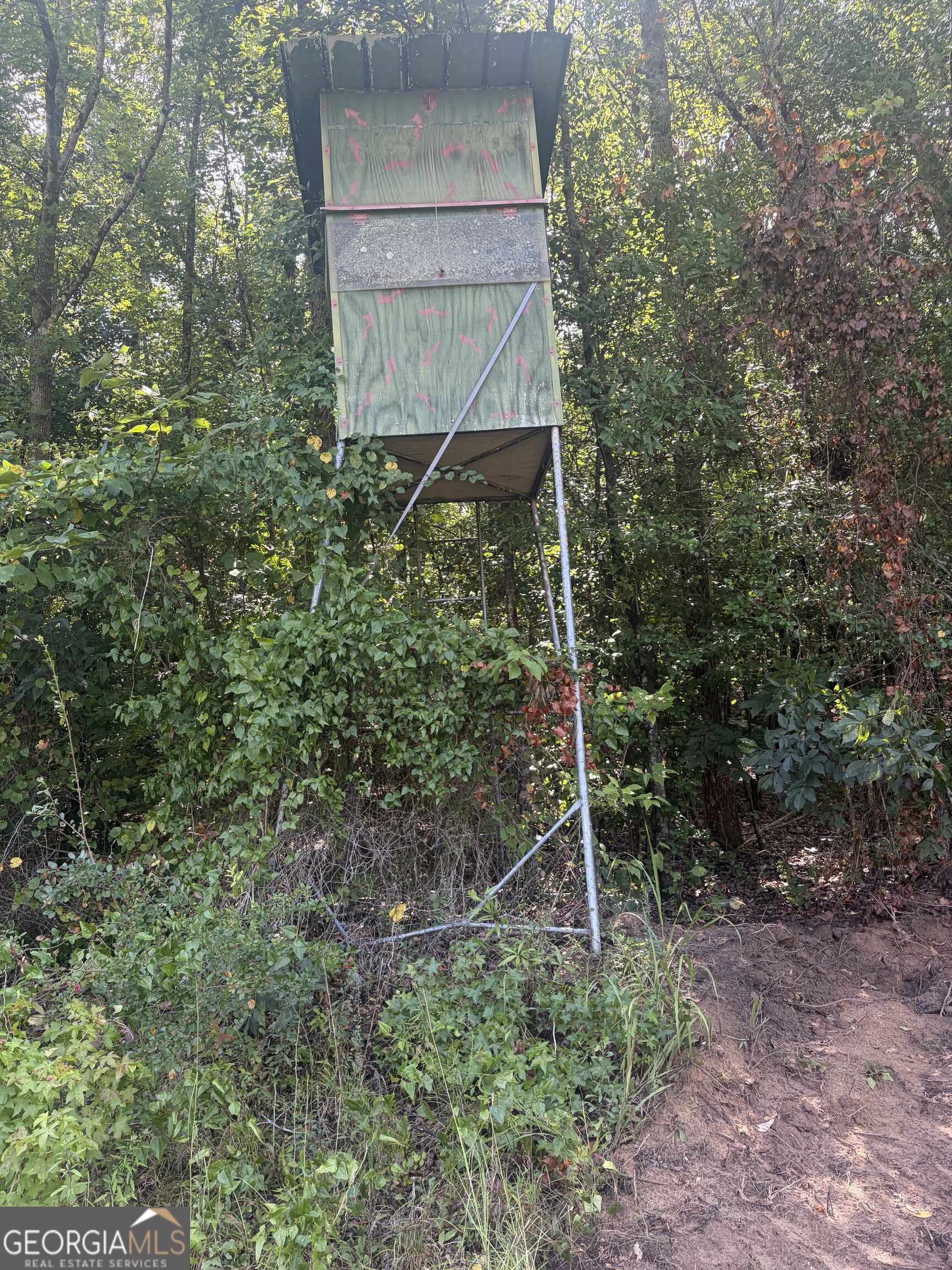 0 Highway 57 Property Photo 18