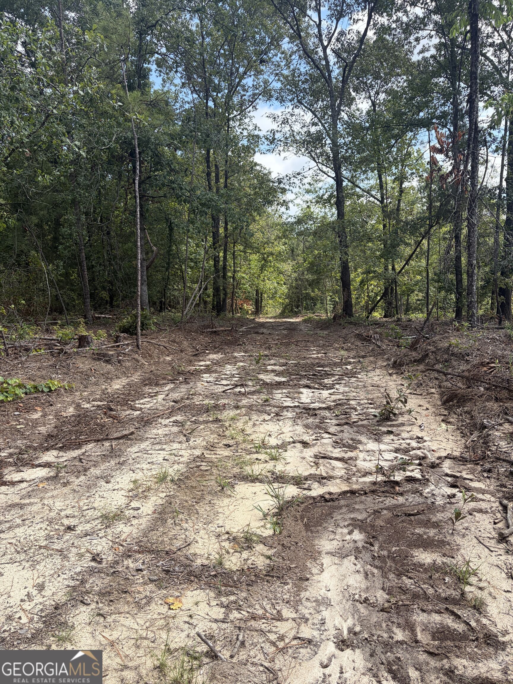 0 Highway 57 Property Photo 19