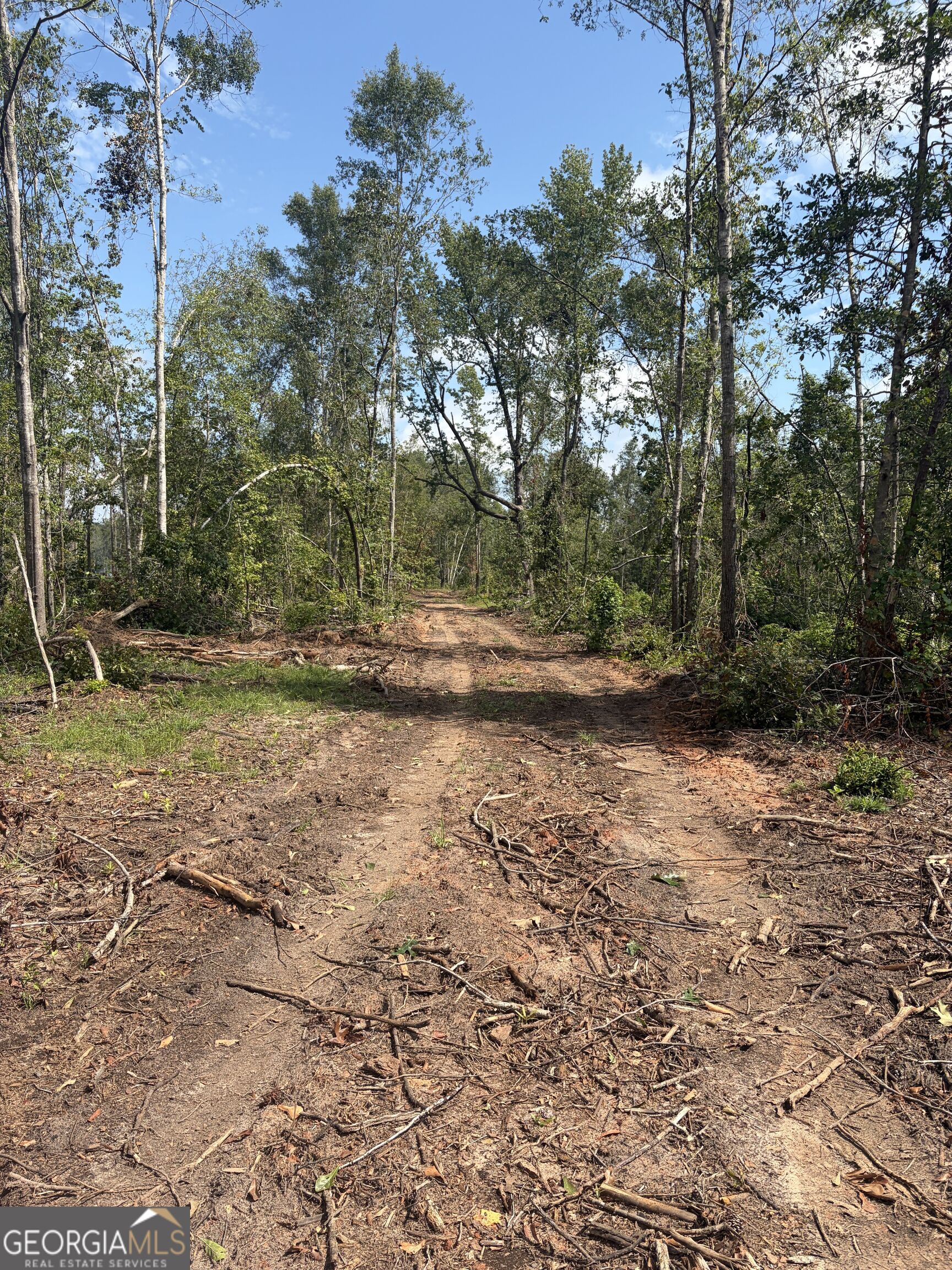 0 Highway 57 Property Photo 20