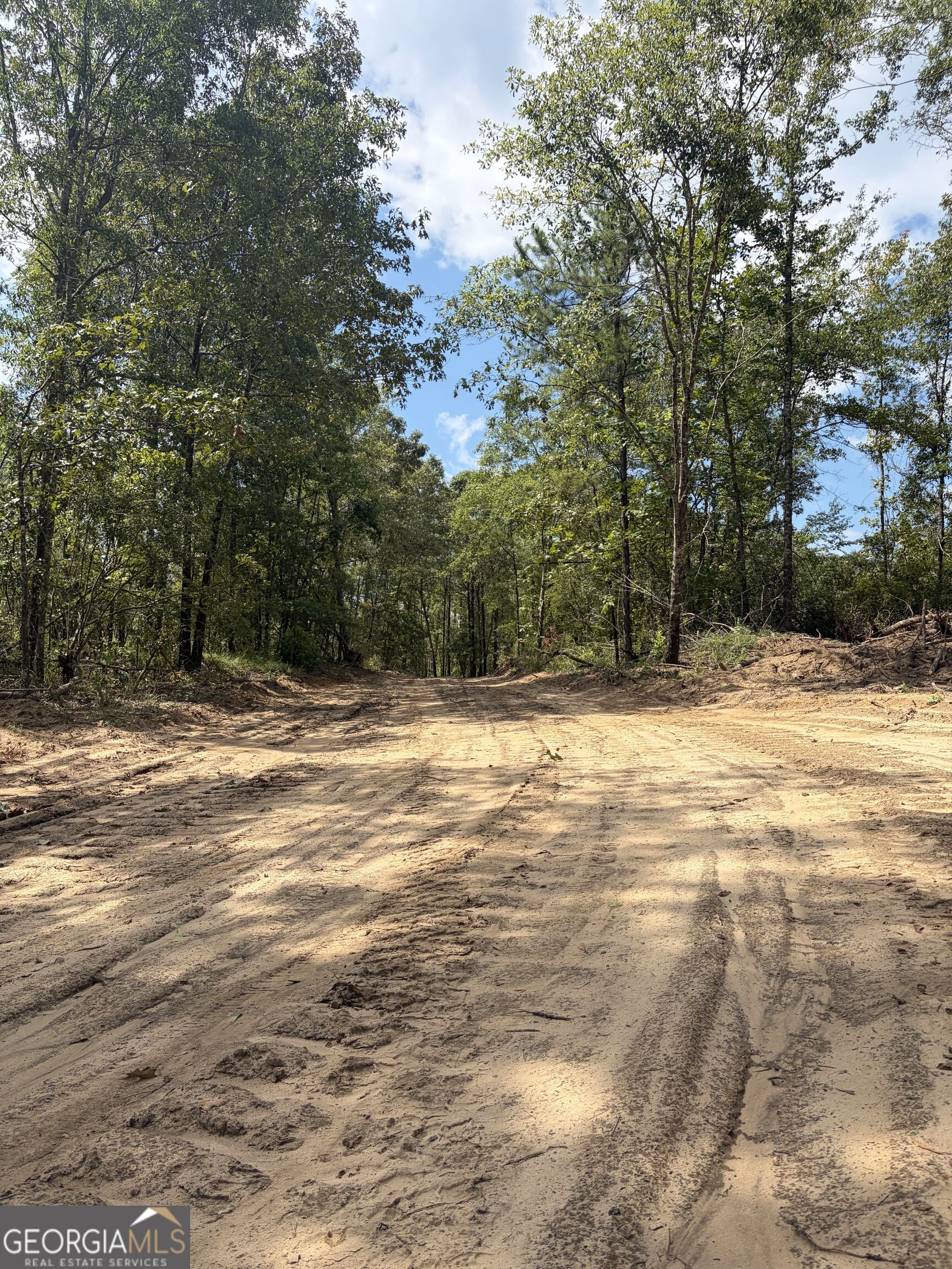 0 Highway 57 Property Photo 21