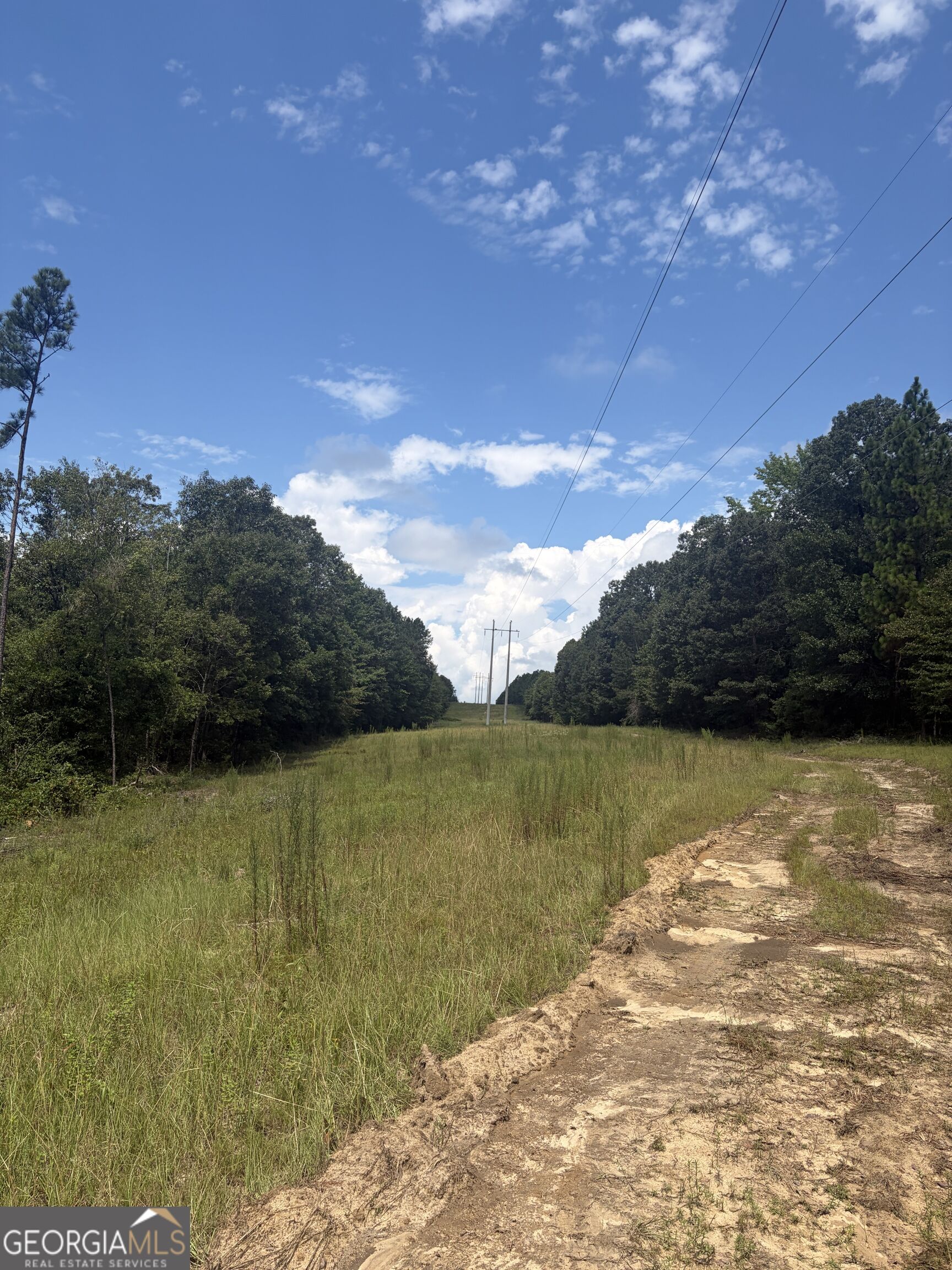0 Highway 57 Property Photo 23