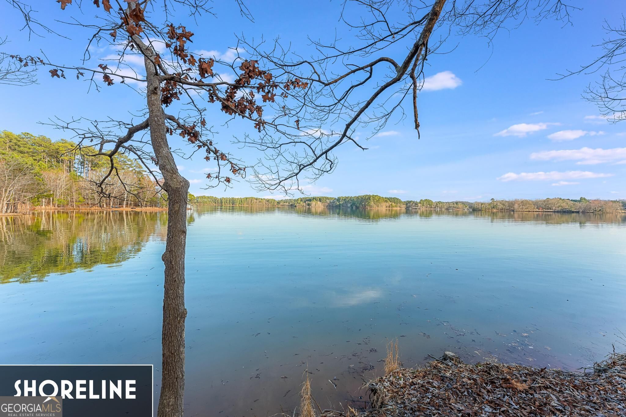 784 Powderbag Creek Road Property Photo 1
