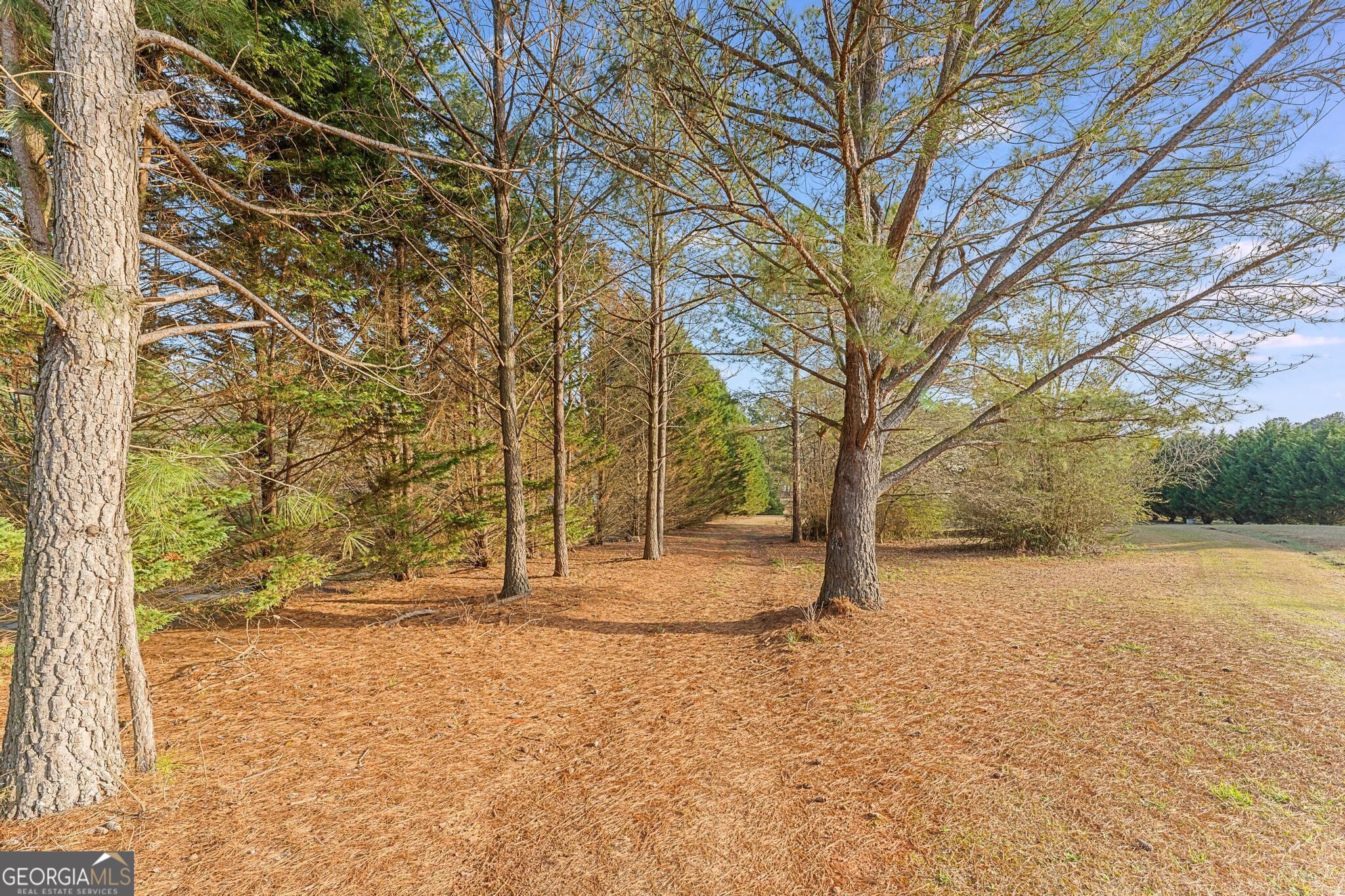 784 Powderbag Creek Road Property Photo 5