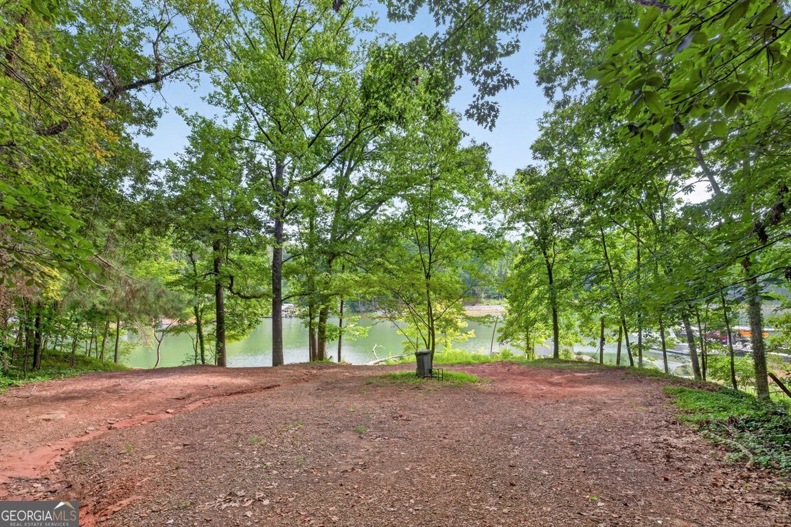 1310 Timber Lake Trail Property Photo 43