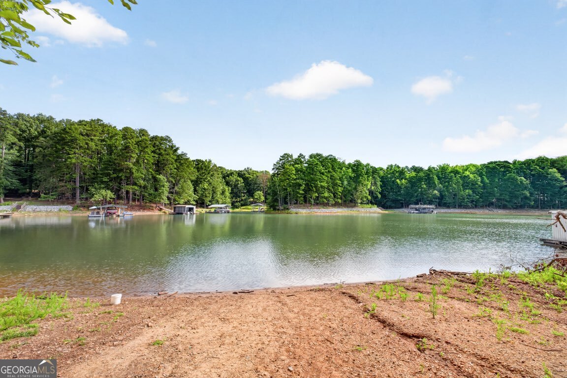 1310 Timber Lake Trail Property Photo 44