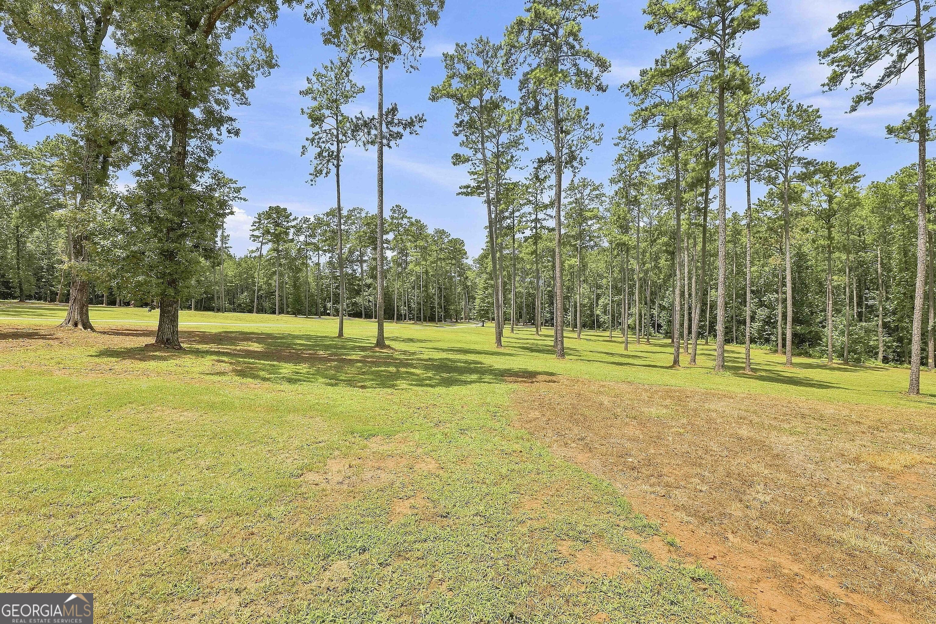 425 Ethridge Mill Road Property Photo 13