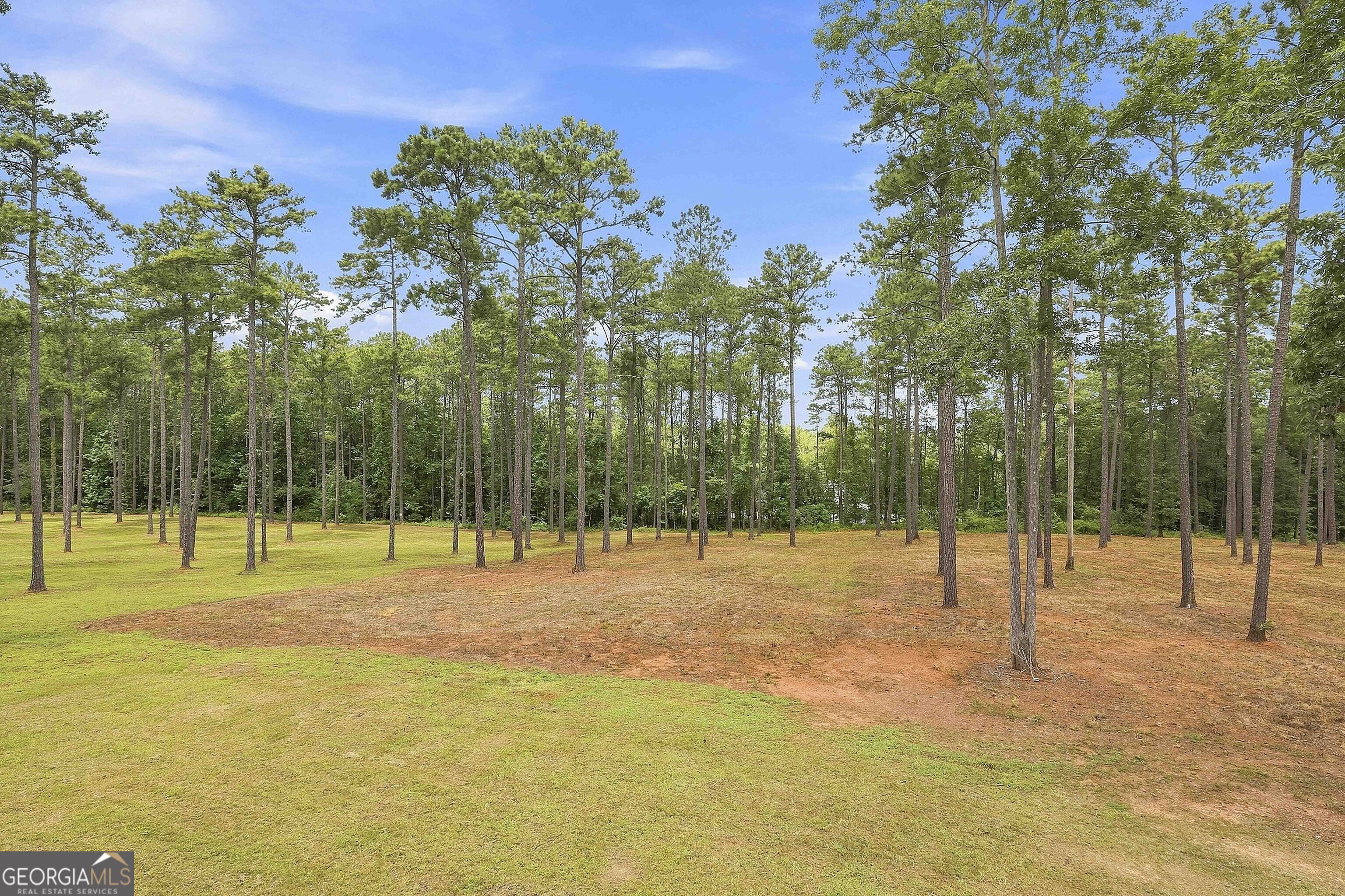 425 Ethridge Mill Road Property Photo 44