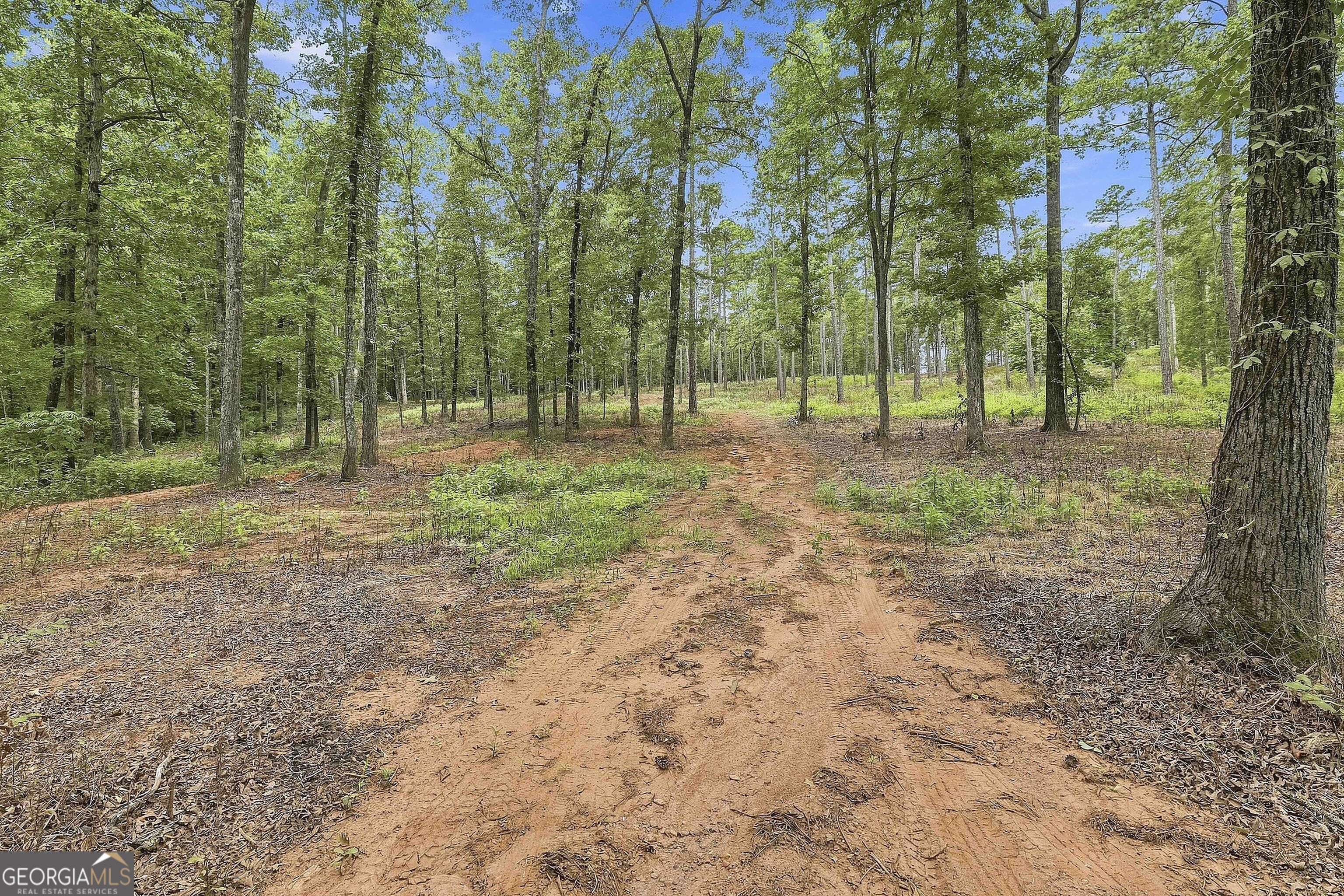 425 Ethridge Mill Road Property Photo 48