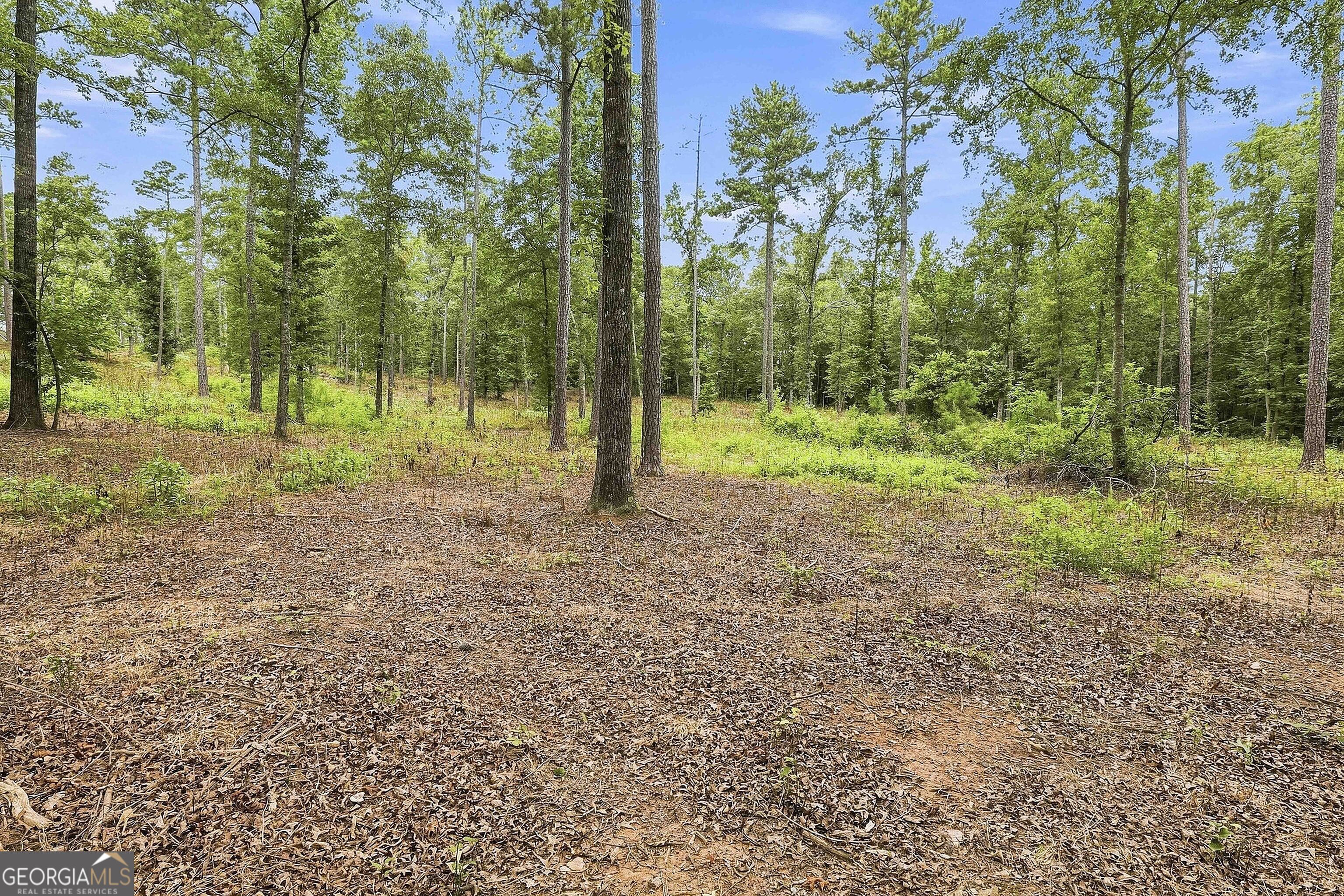 425 Ethridge Mill Road Property Photo 49
