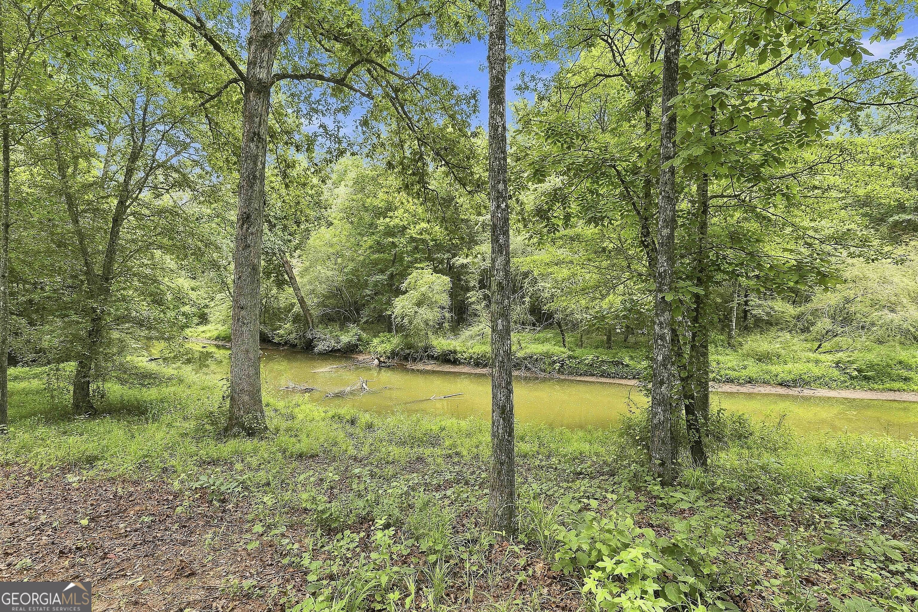 425 Ethridge Mill Road Property Photo 56
