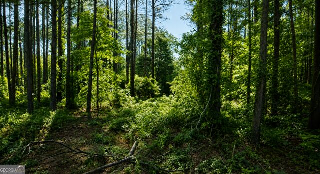0 Deerwood Trail Property Photo 4