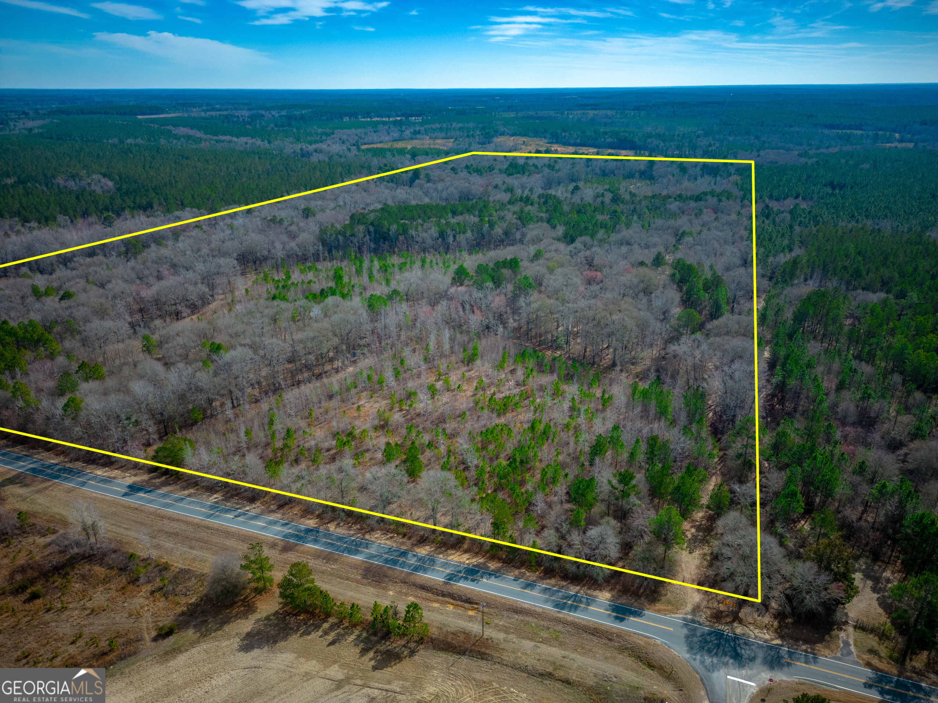 0 Eastman Dublin Highway Property Photo 1