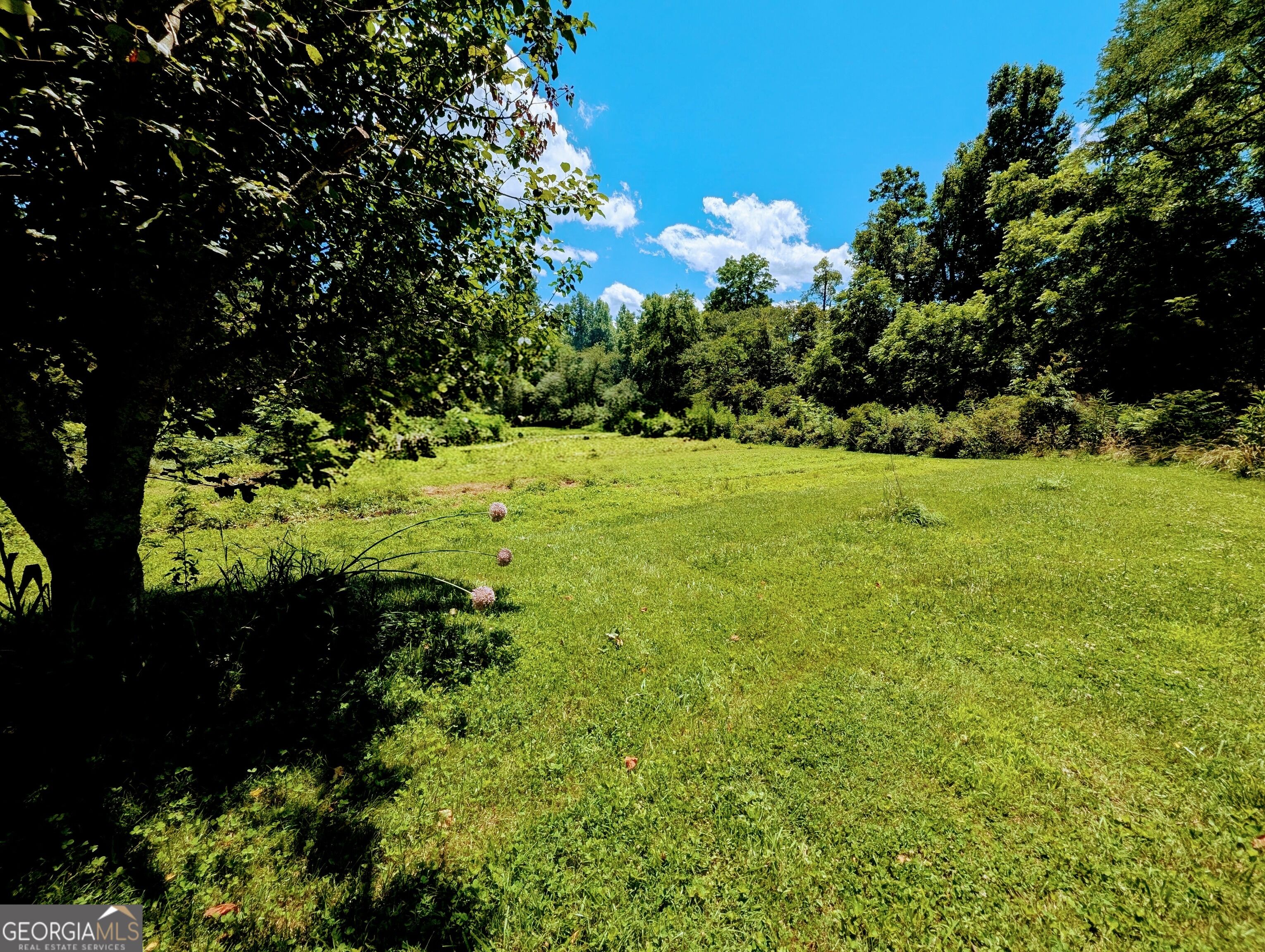 169 E Vineyard Road Property Photo 4