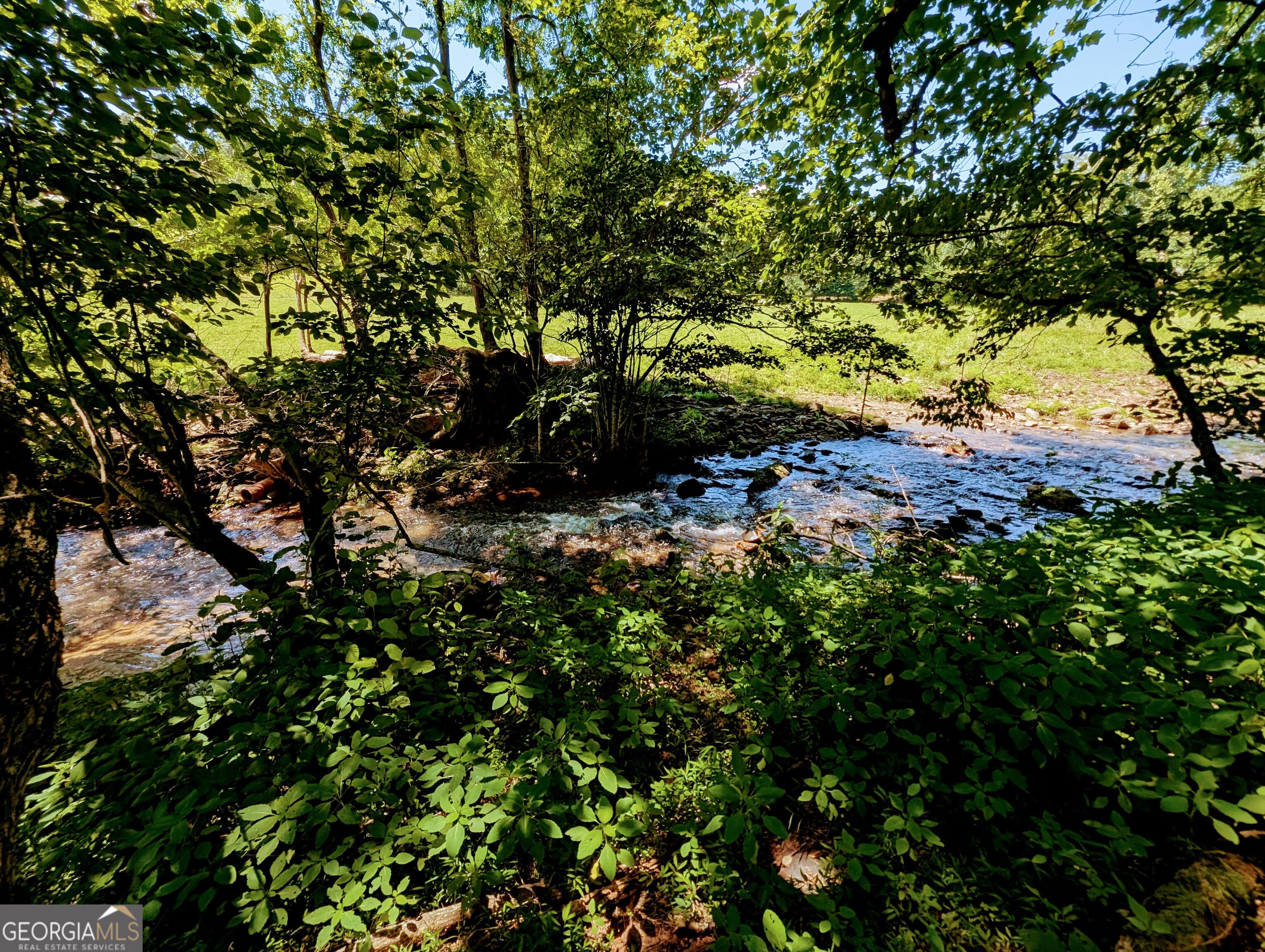 169 E Vineyard Road Property Photo 8