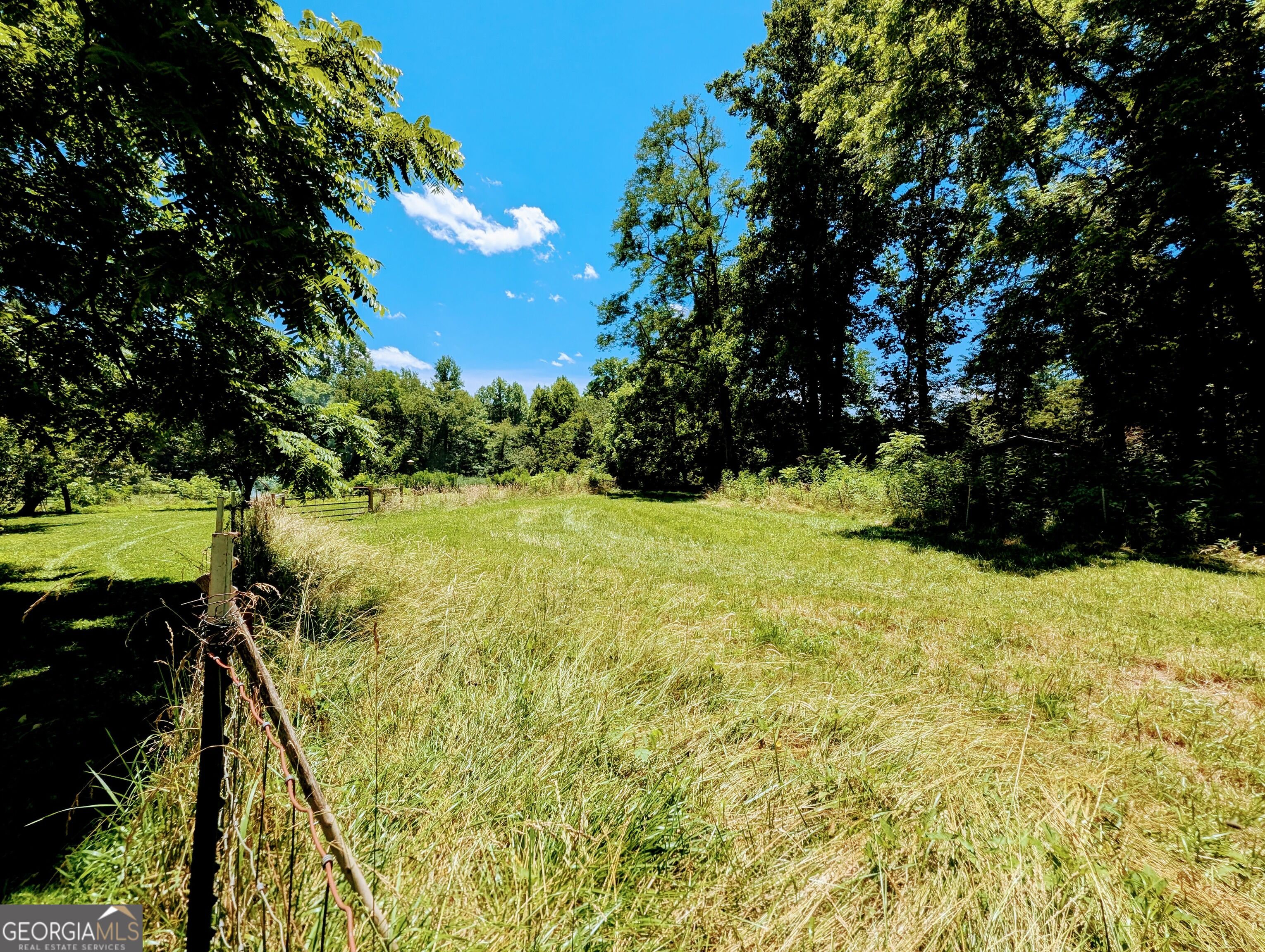 169 E Vineyard Road Property Photo 10