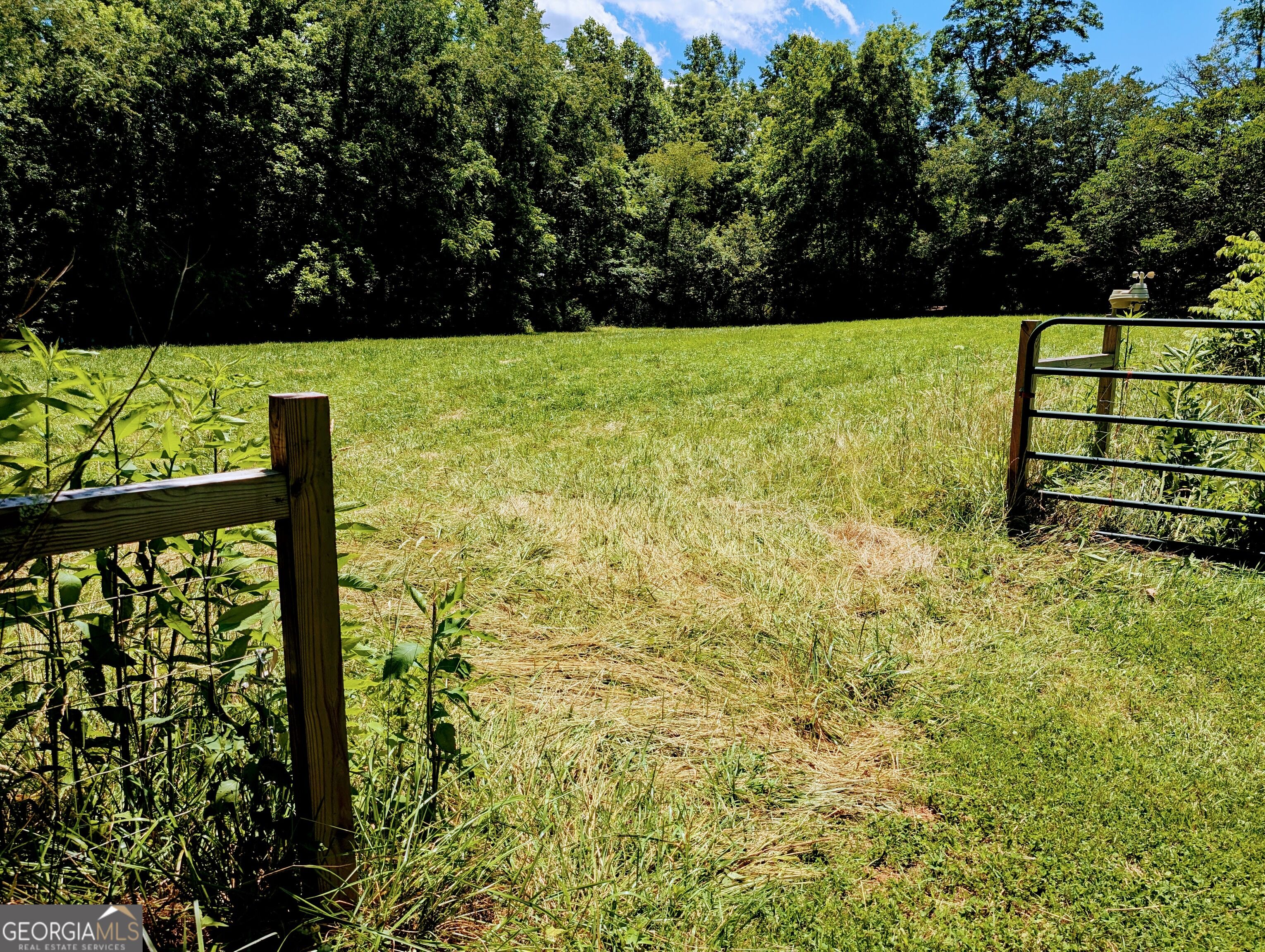 169 E Vineyard Road Property Photo 11