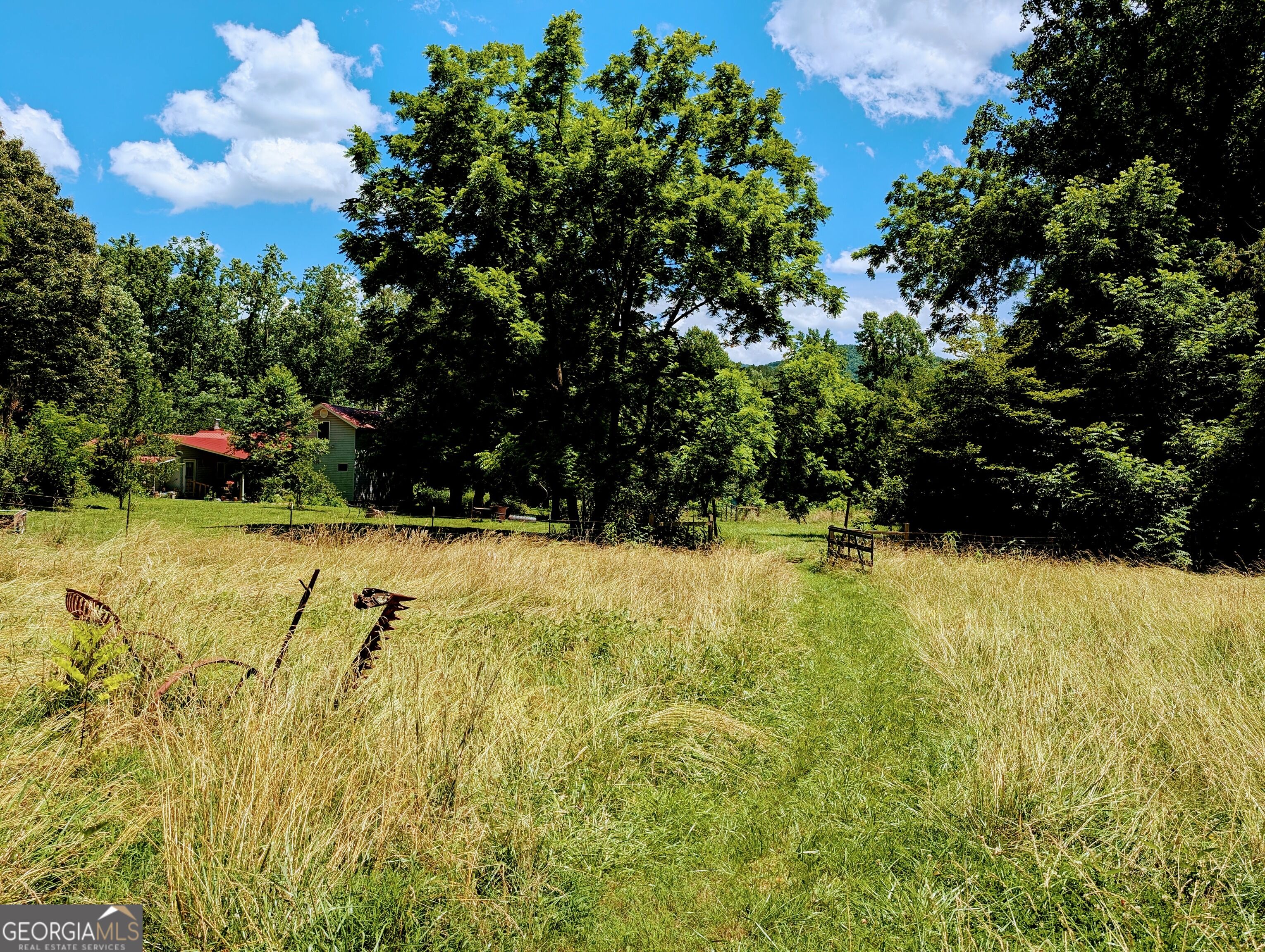169 E Vineyard Road Property Photo 13