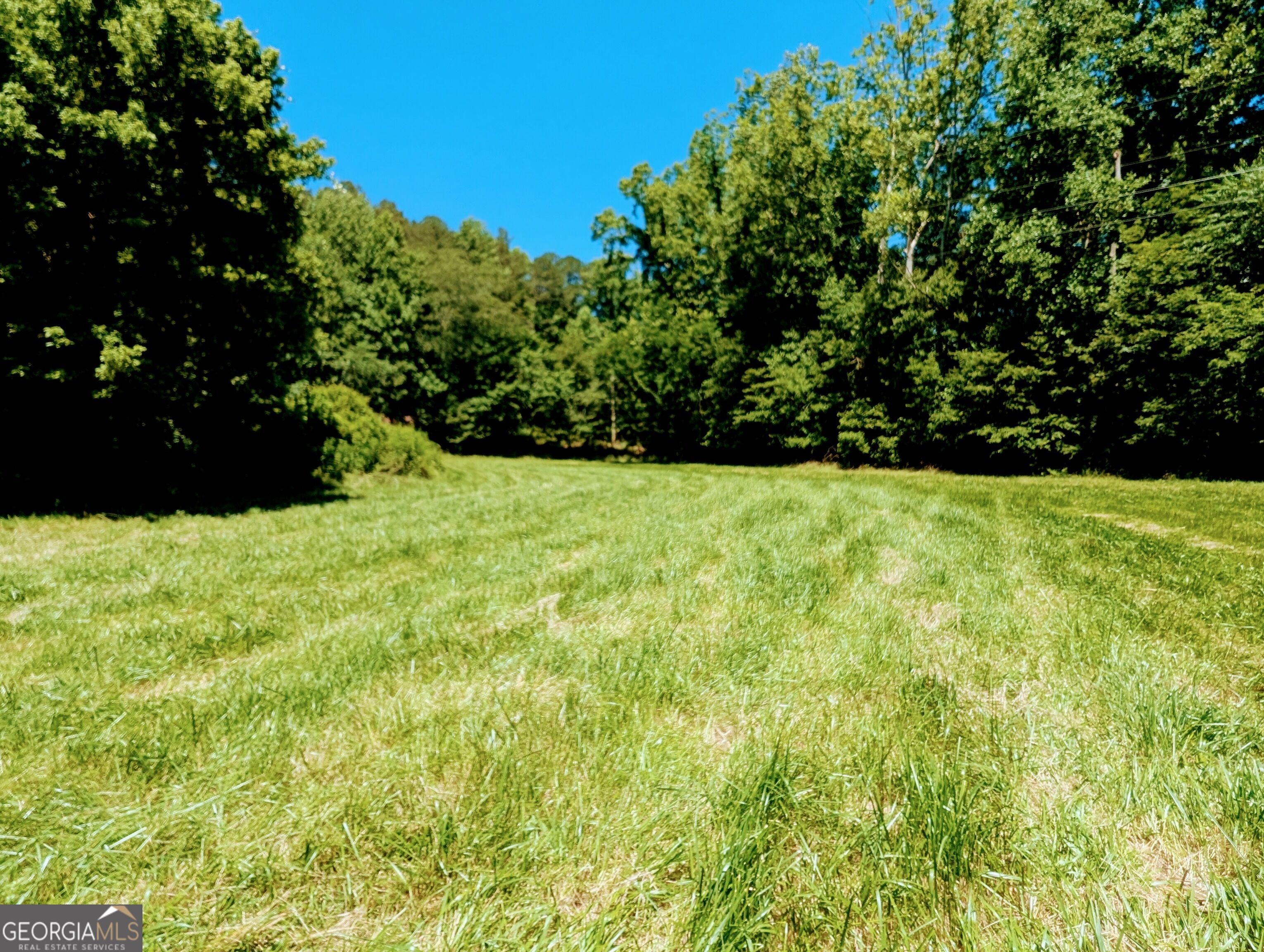 169 E Vineyard Road Property Photo 16