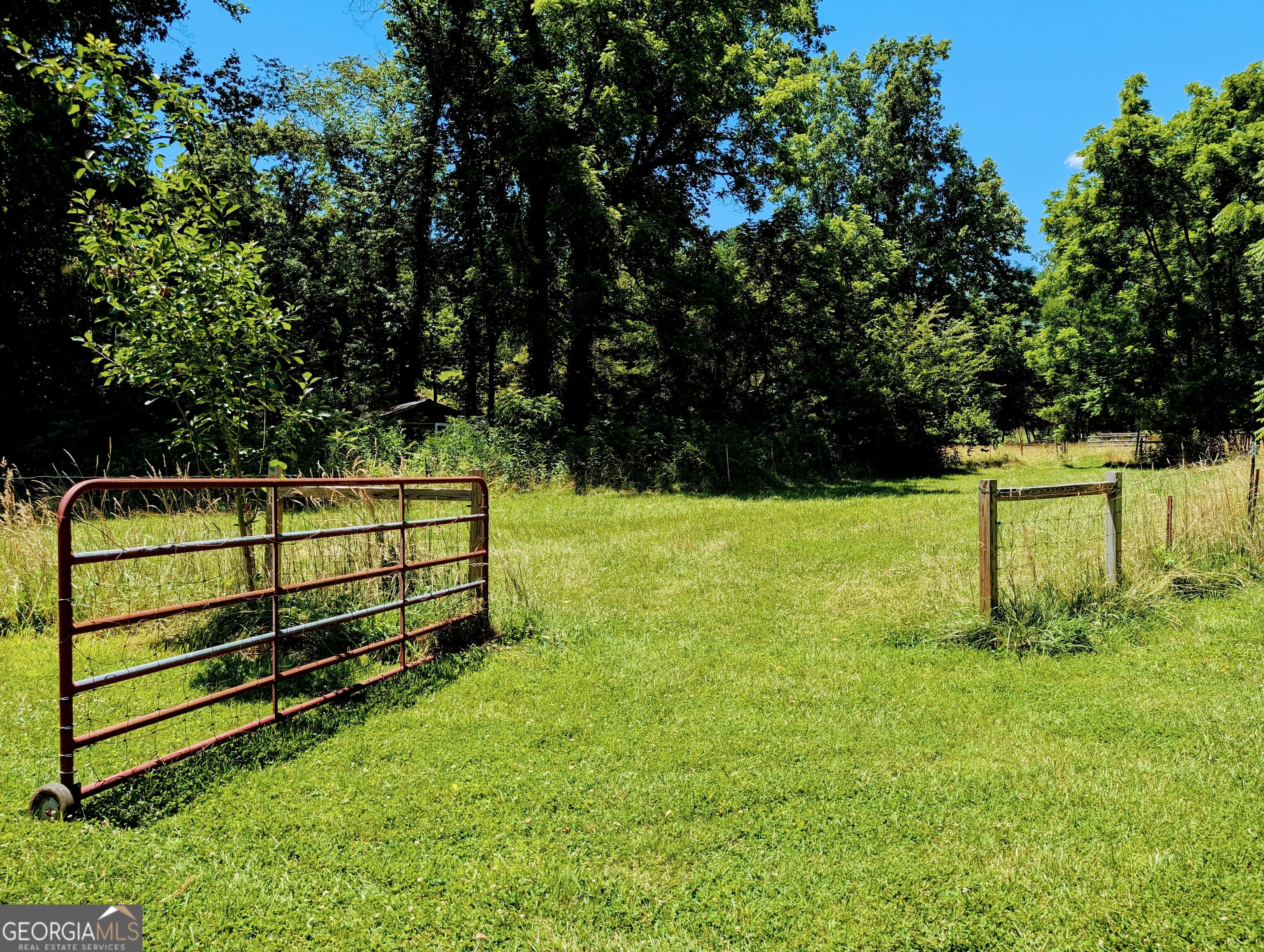 169 E Vineyard Road Property Photo 19