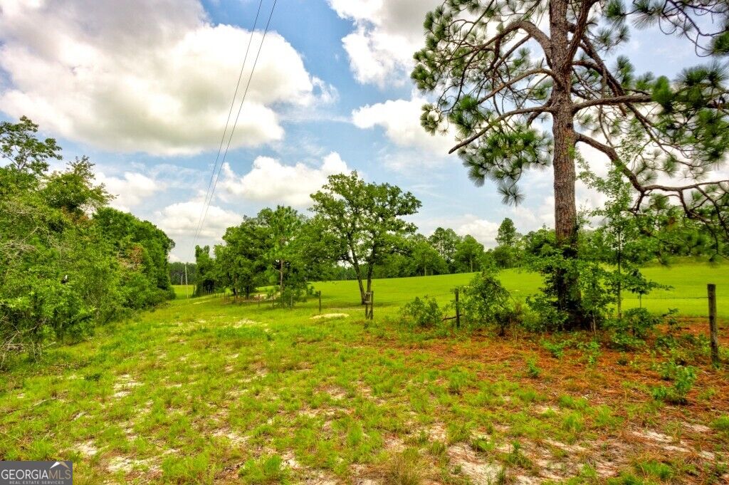 0 Ben Grady Collins Road Property Photo 7