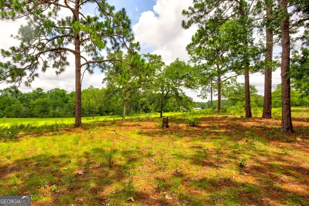 0 Ben Grady Collins Road Property Photo 9