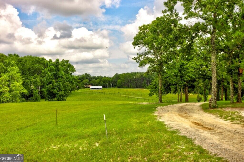 0 Ben Grady Collins Road Property Photo 12