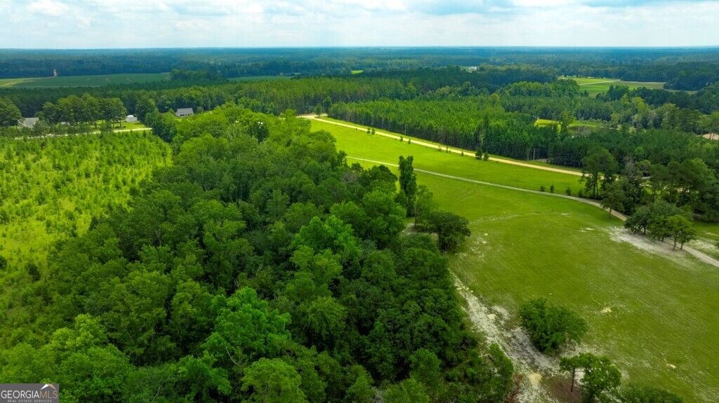 0 Ben Grady Collins Road Property Photo 16