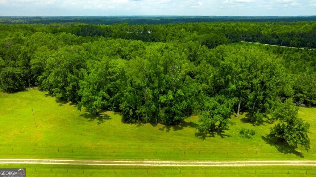 0 Ben Grady Collins Road Property Photo 17