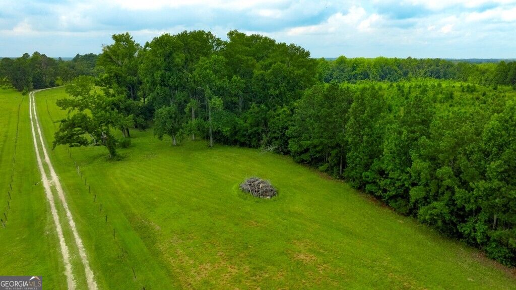 0 Ben Grady Collins Road Property Photo 20