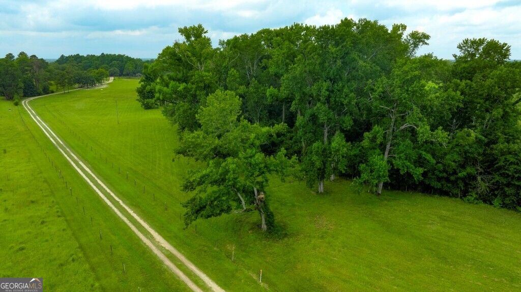 0 Ben Grady Collins Road Property Photo 21