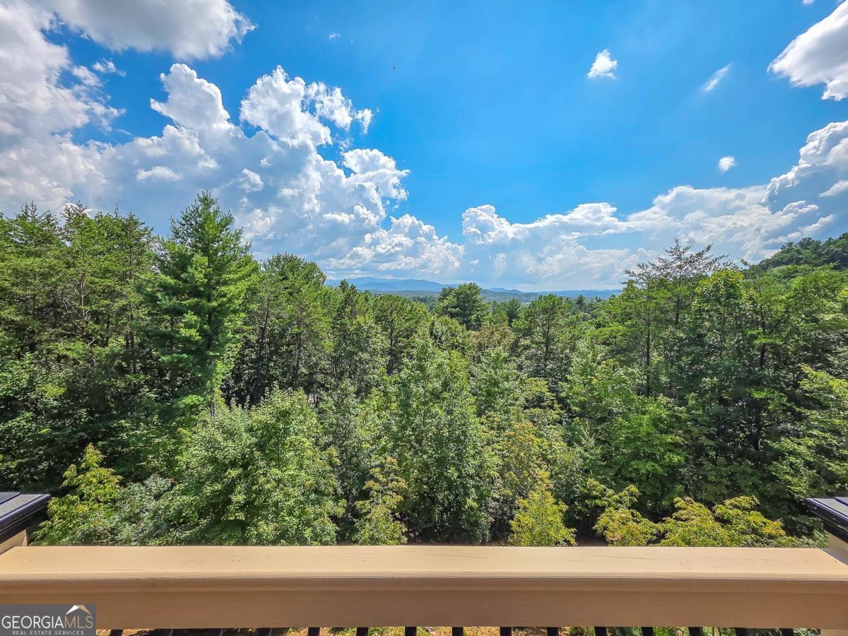 965 My Mountain Road Property Photo 49