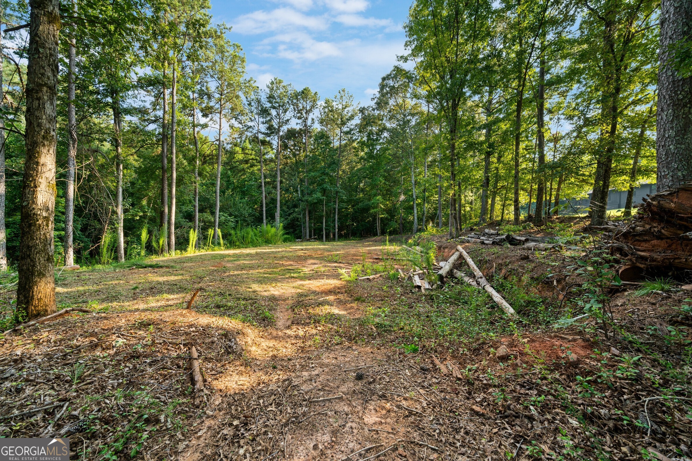 280 Etheridge Road Property Photo 68
