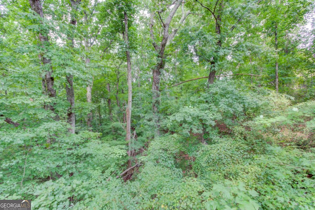 3938 Pointe N Property Photo 42