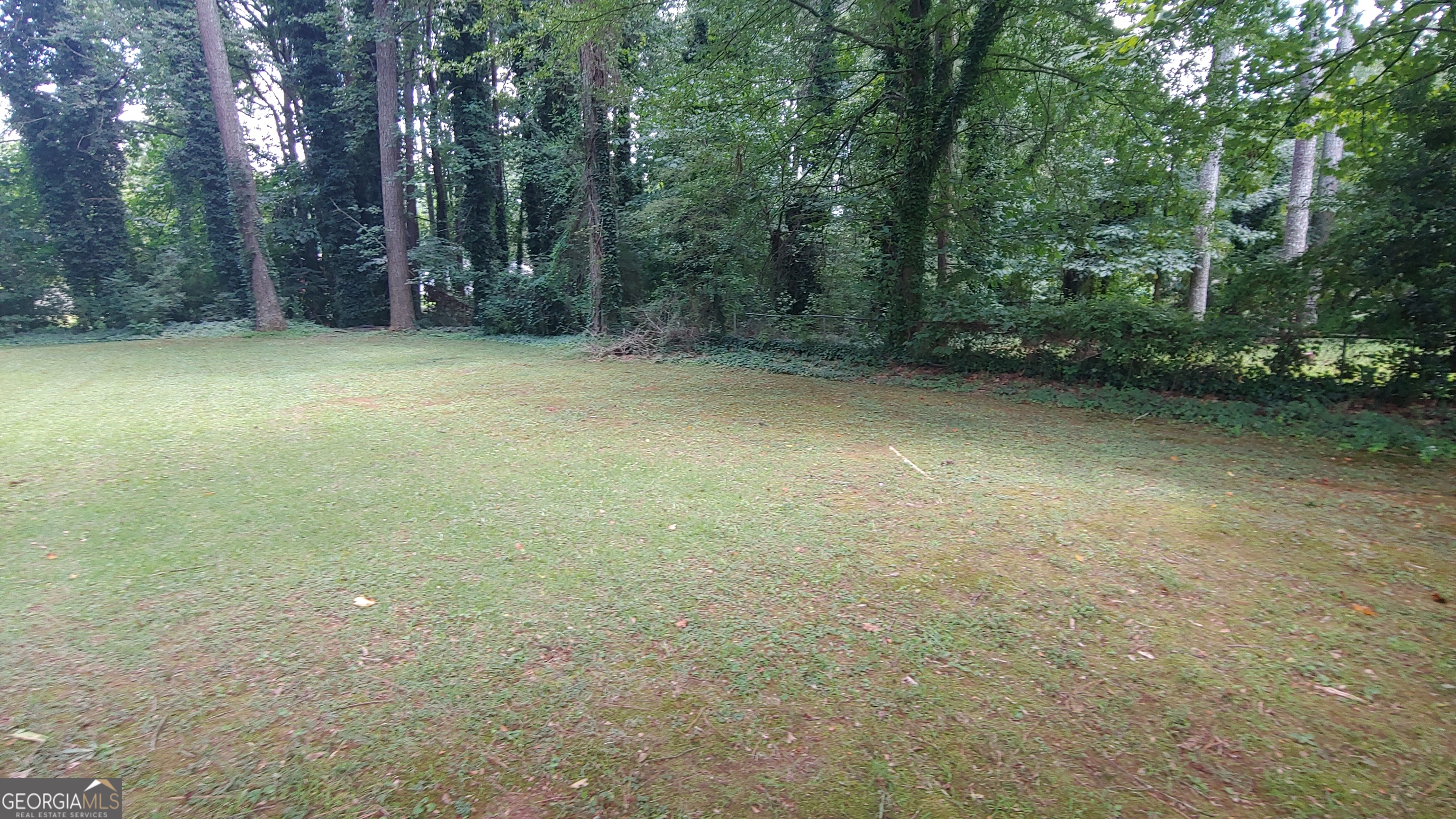 1118 Blazing Ridge Property Photo 29