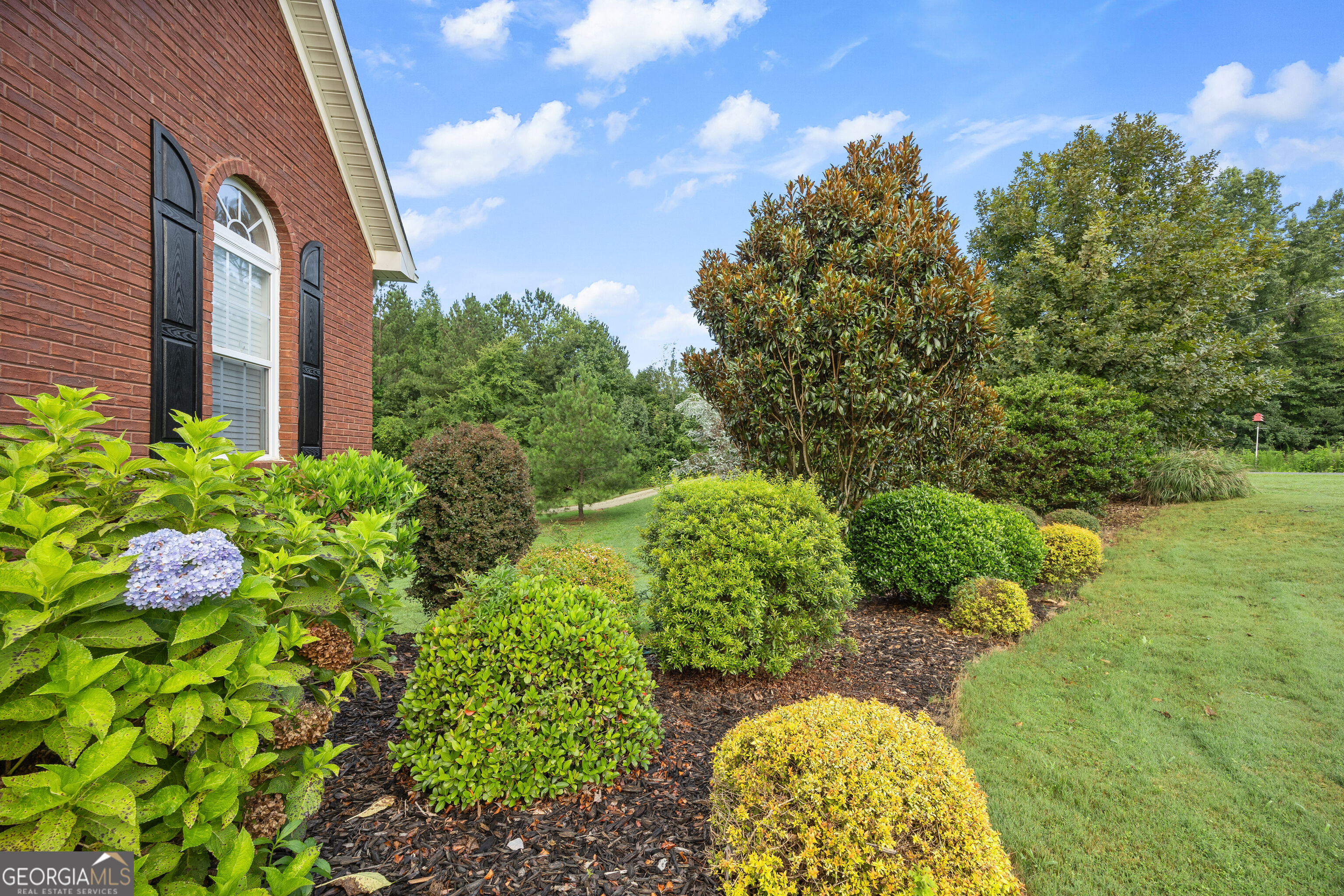 20 Alcovy Forest Way Property Photo 4