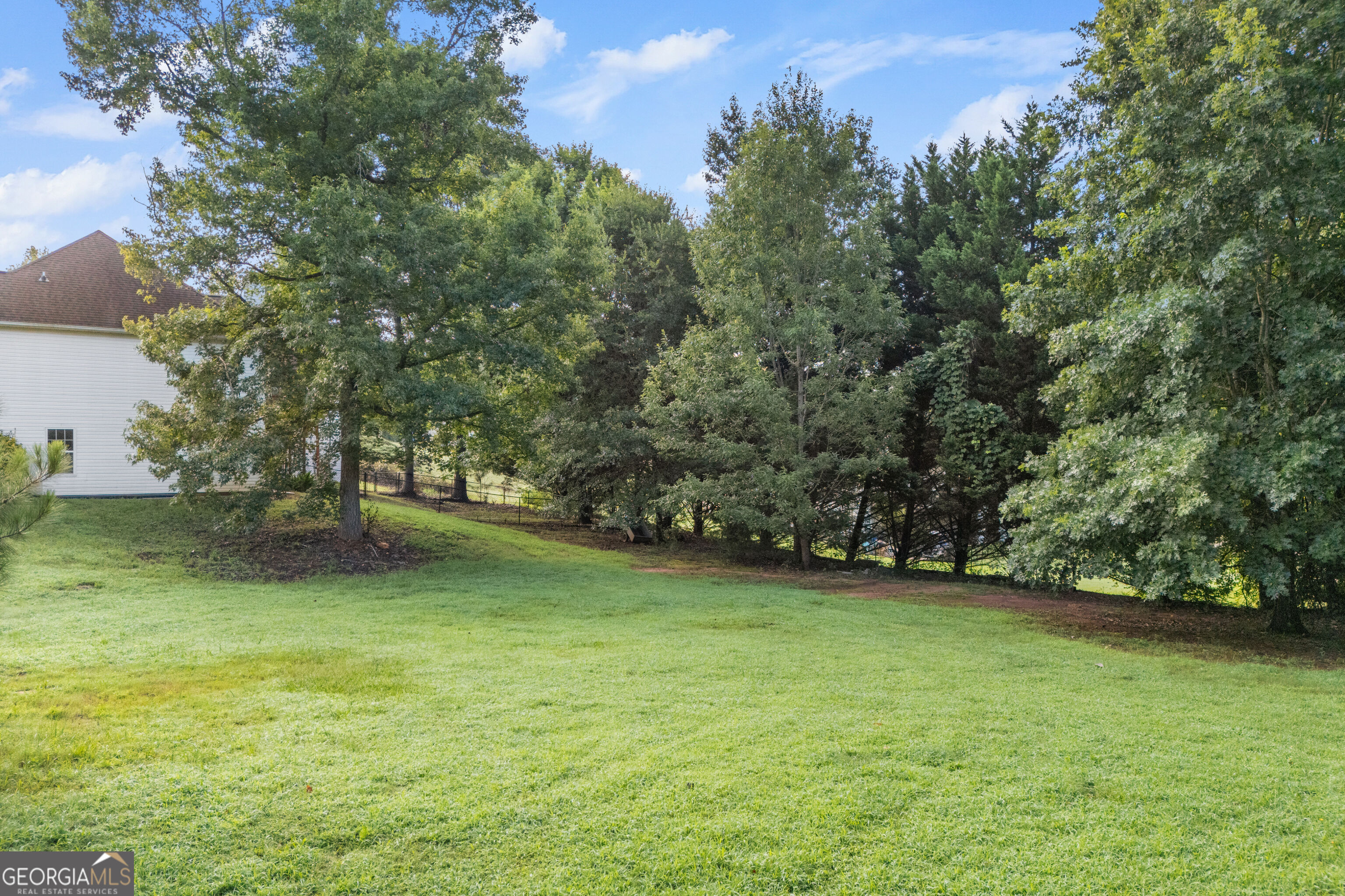 20 Alcovy Forest Way Property Photo 47
