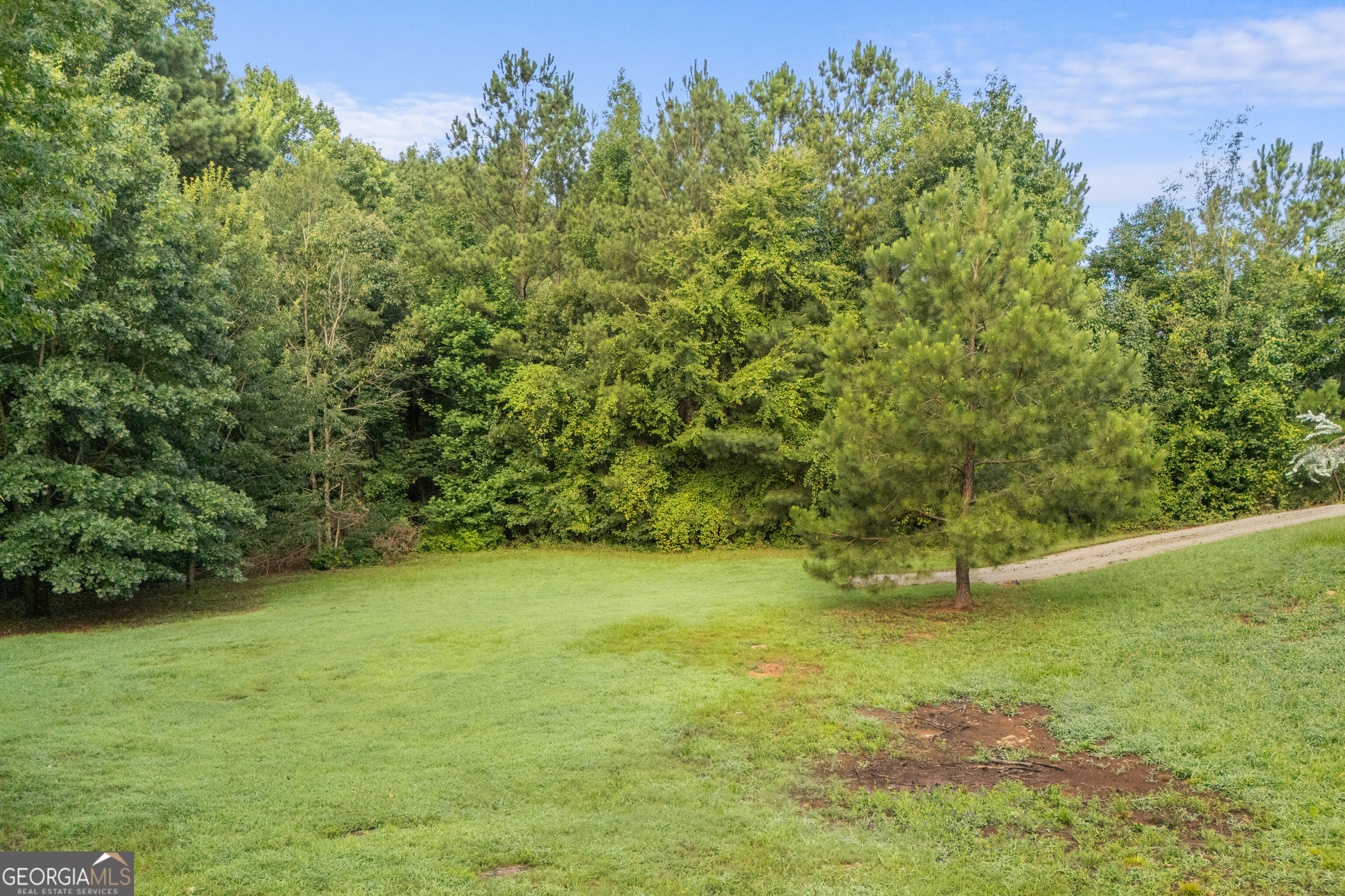 20 Alcovy Forest Way Property Photo 48