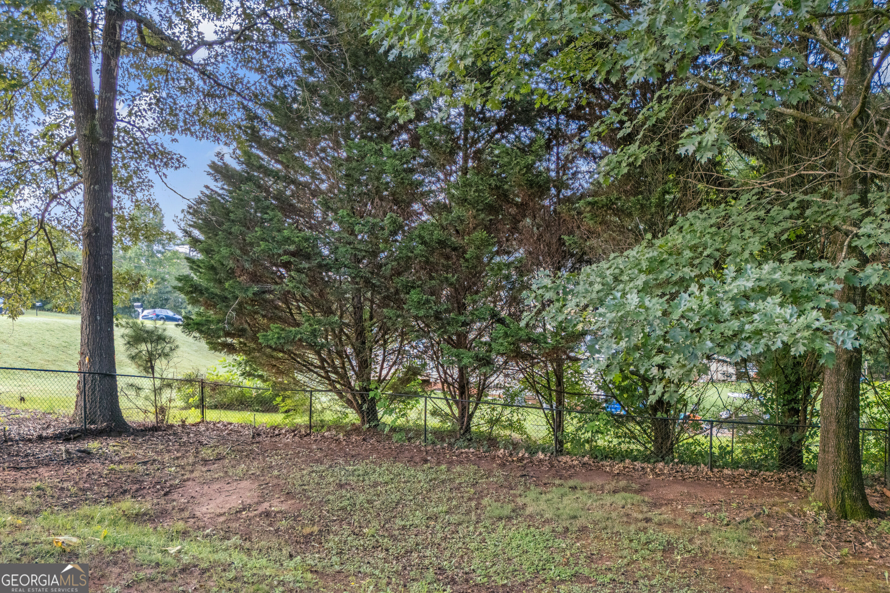 20 Alcovy Forest Way Property Photo 50